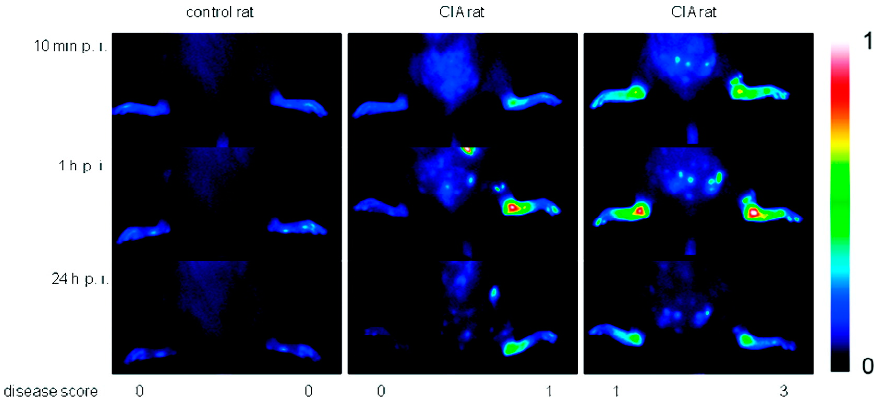 Polymers 10 00595 g004