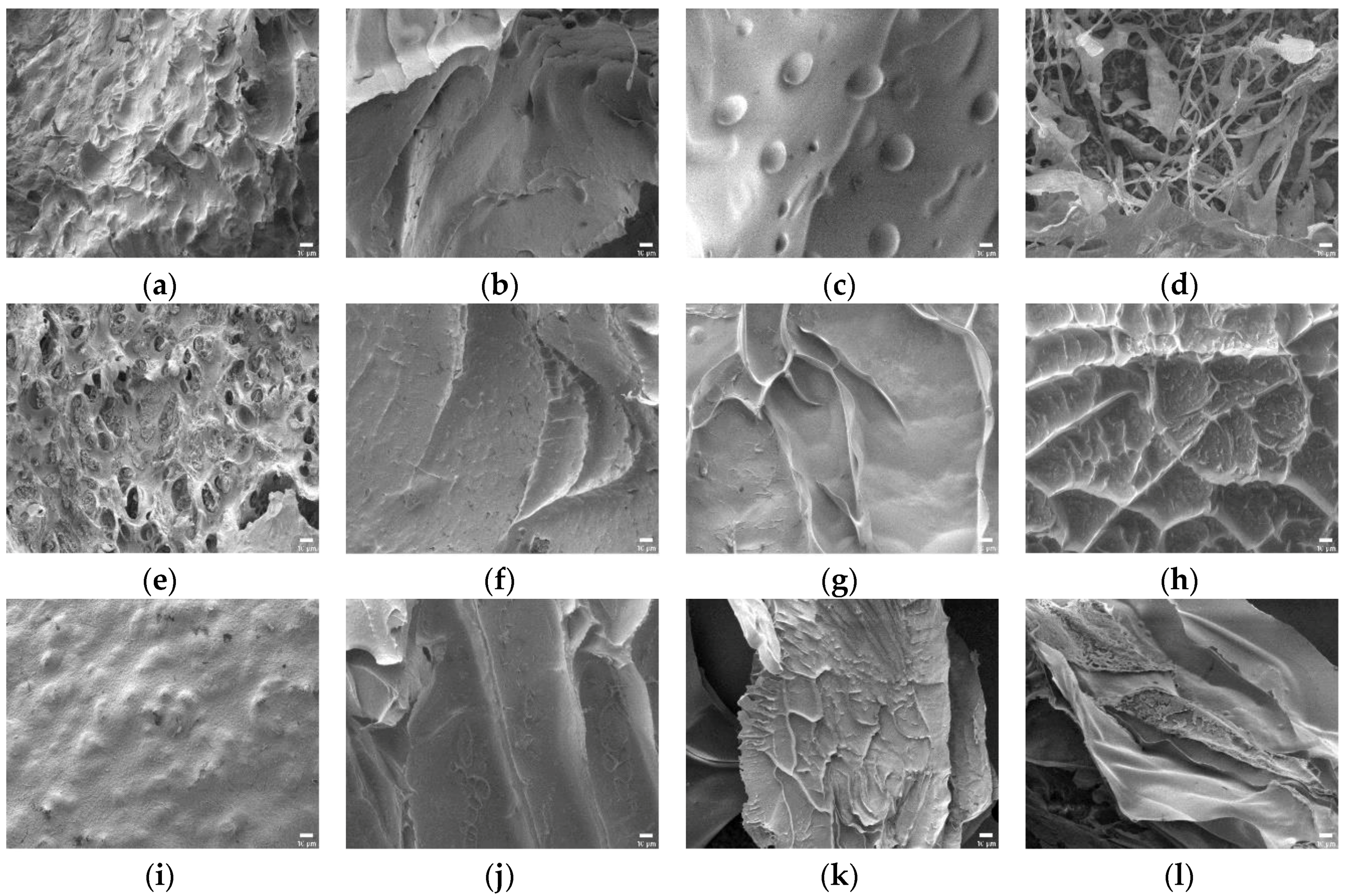 Polymers 10 00605 g006