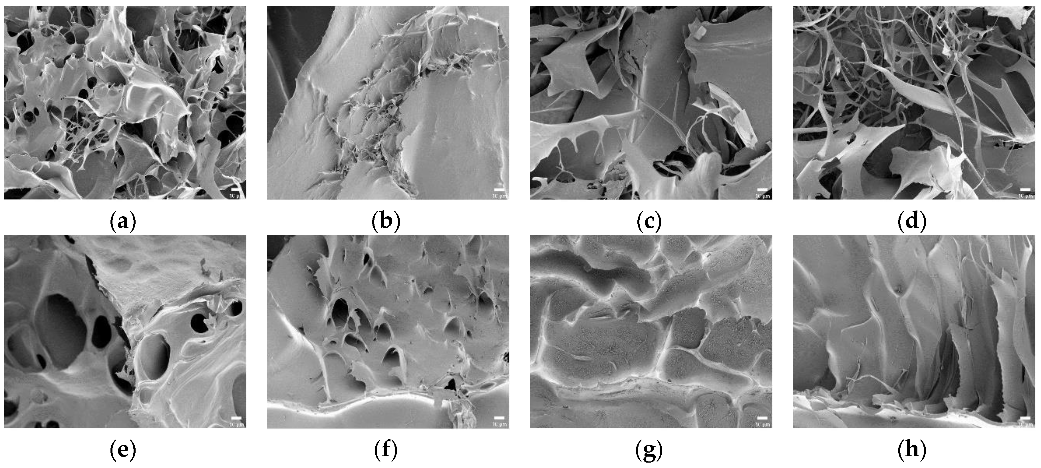 Polymers 10 00605 g007a