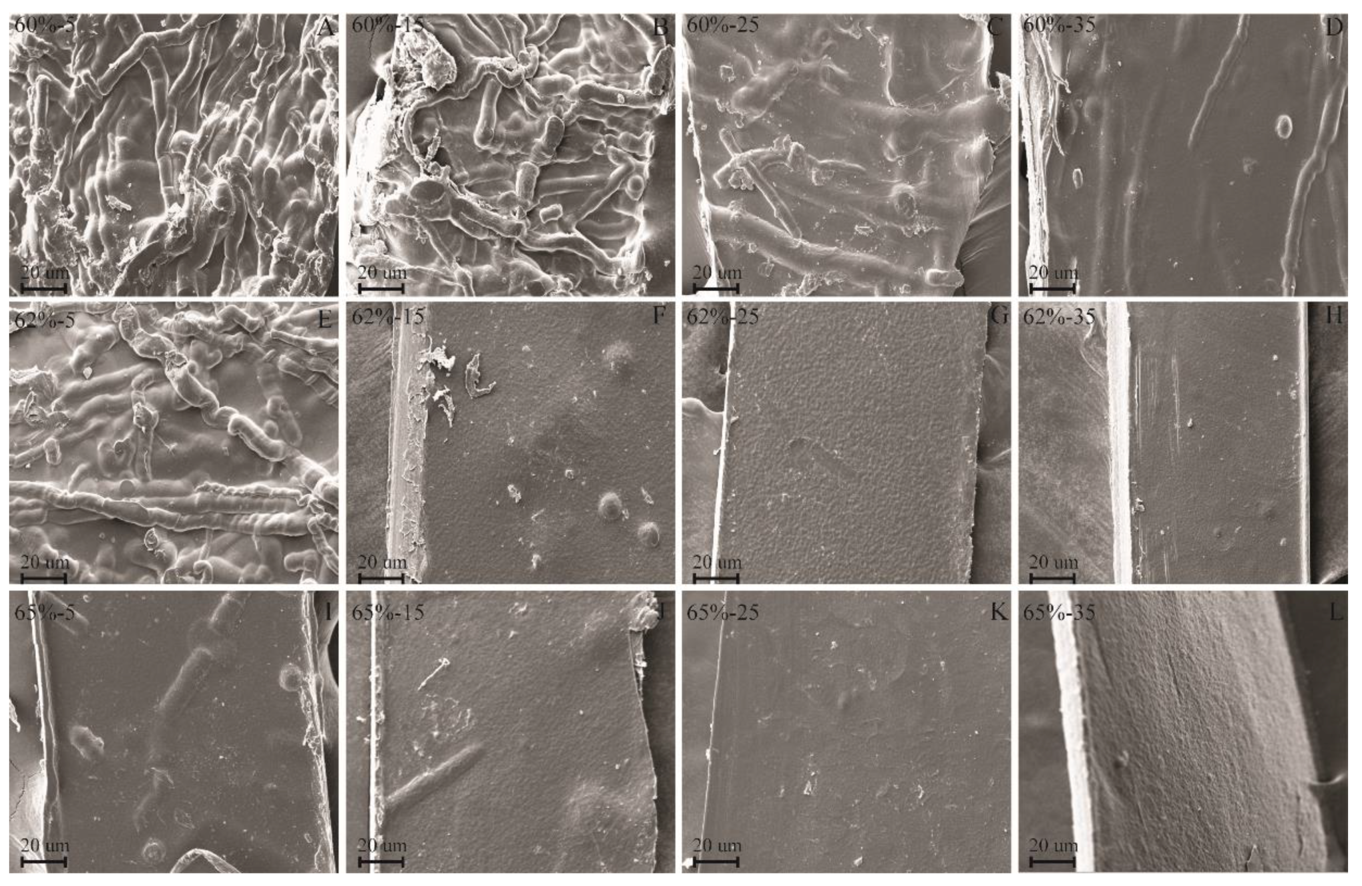 Polymers 10 00614 g004