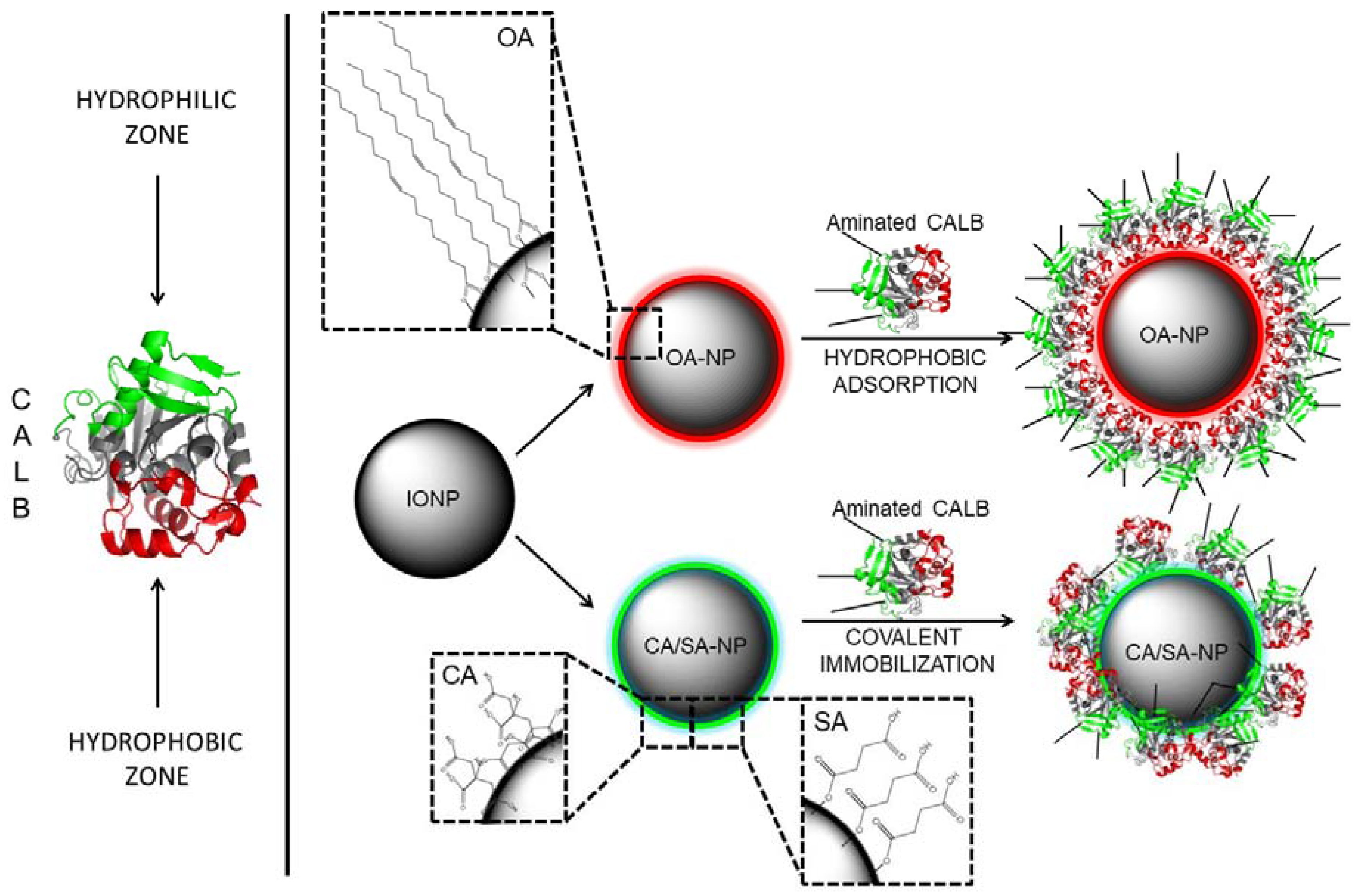 Polymers 10 00615 g002 Polymers 10 00615 g002
