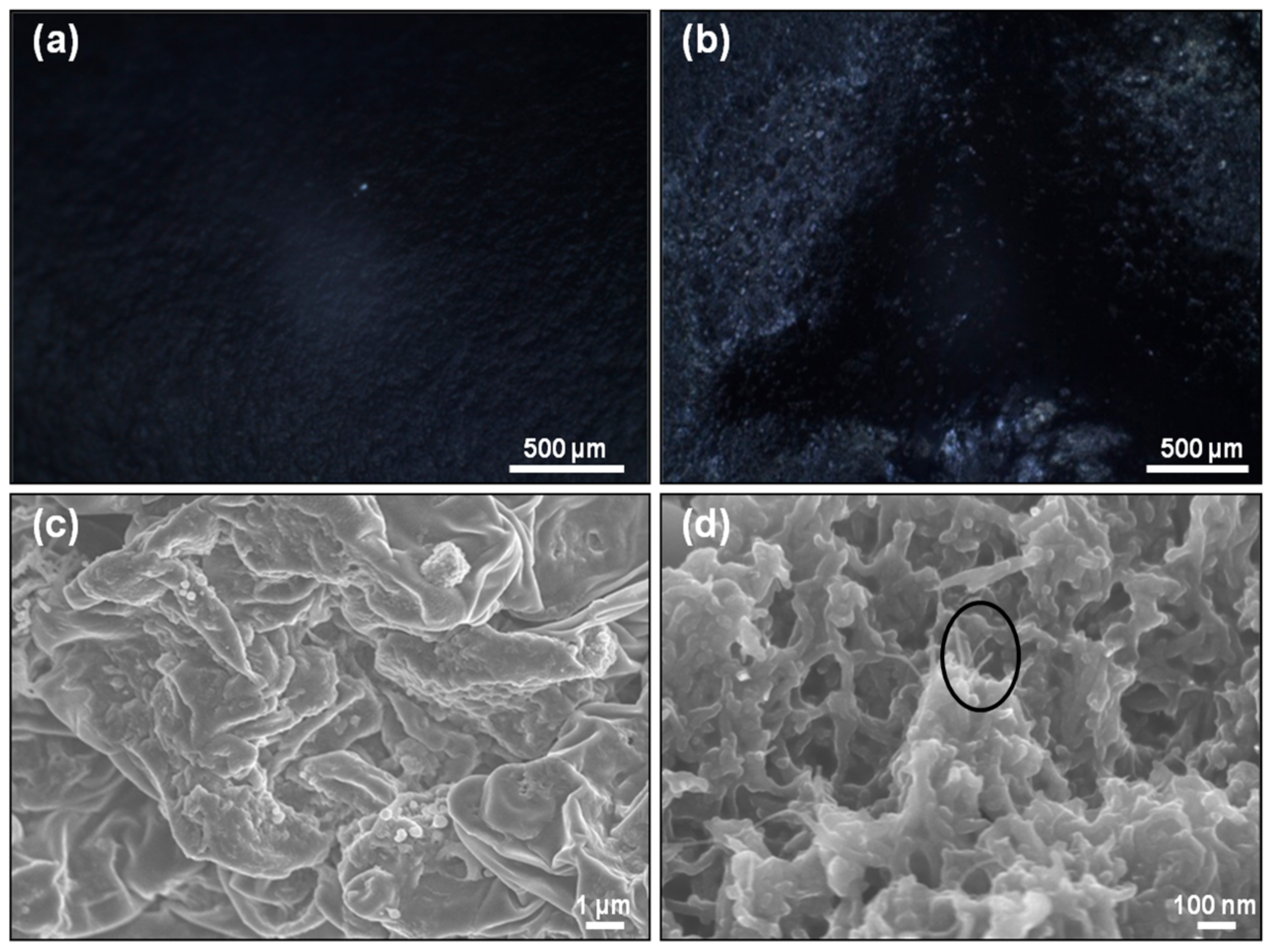 Polymers 10 00632 g004 Polymers 10 00632 g004