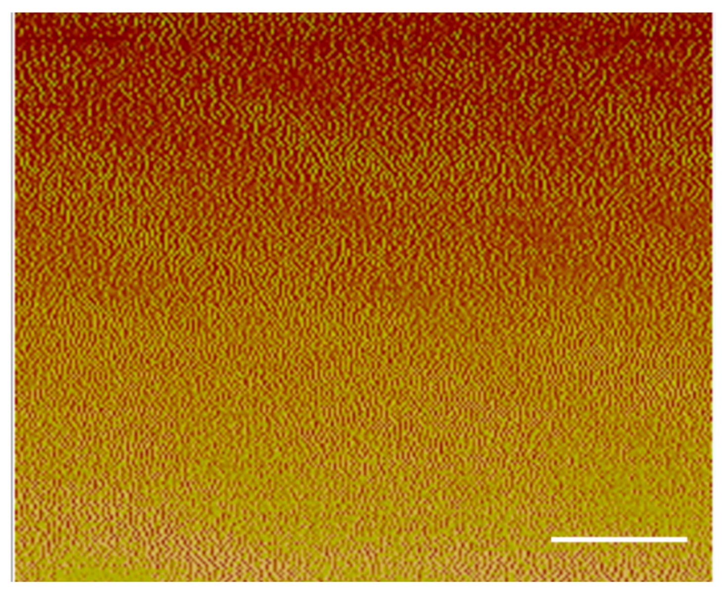 Polymers 10 00637 g006