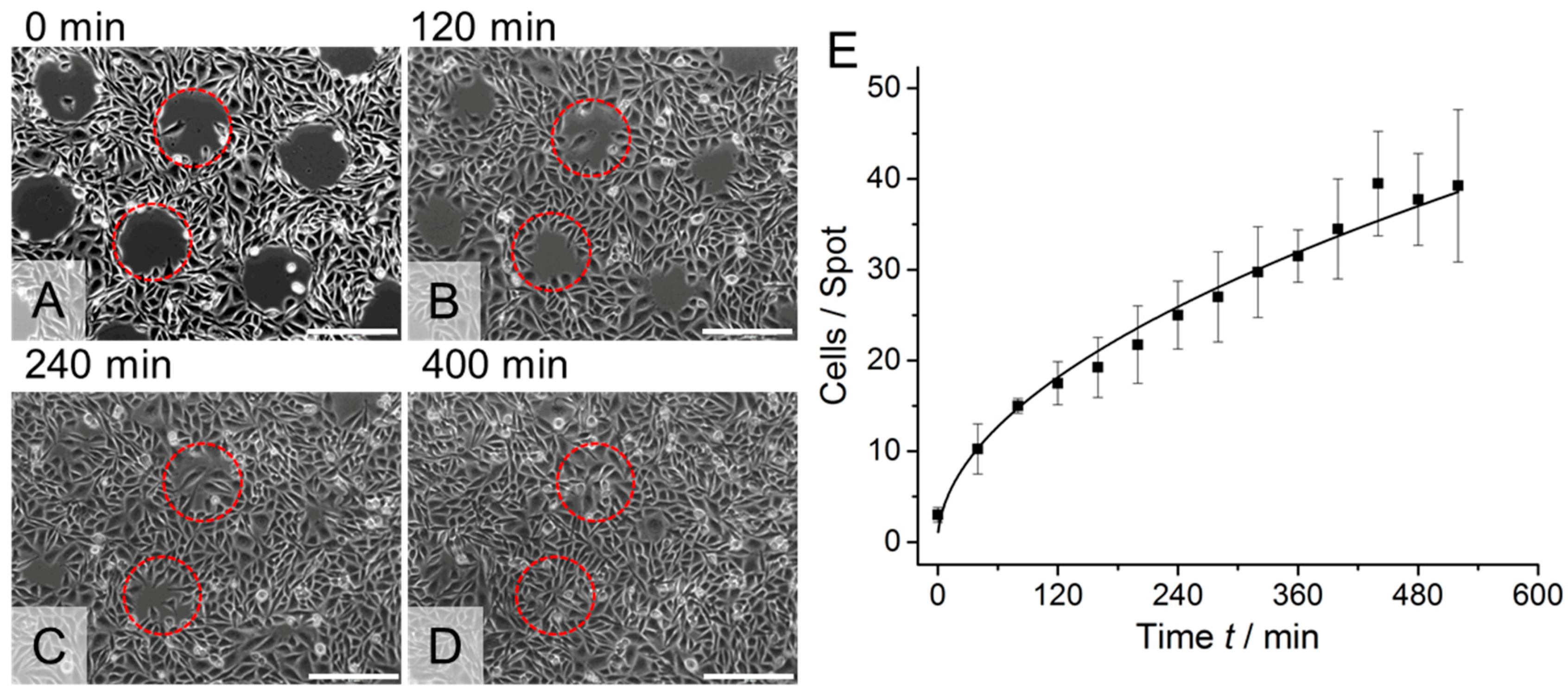 Polymers 10 00656 g003