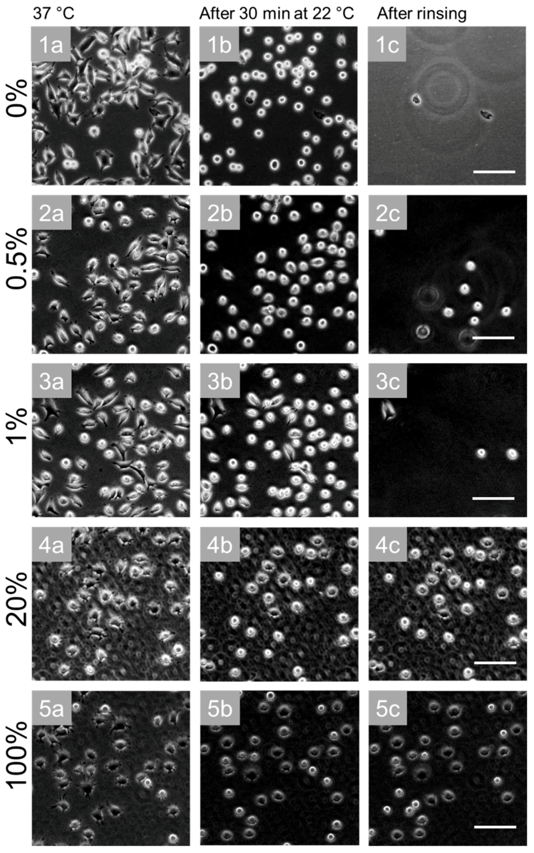 Polymers 10 00656 g007