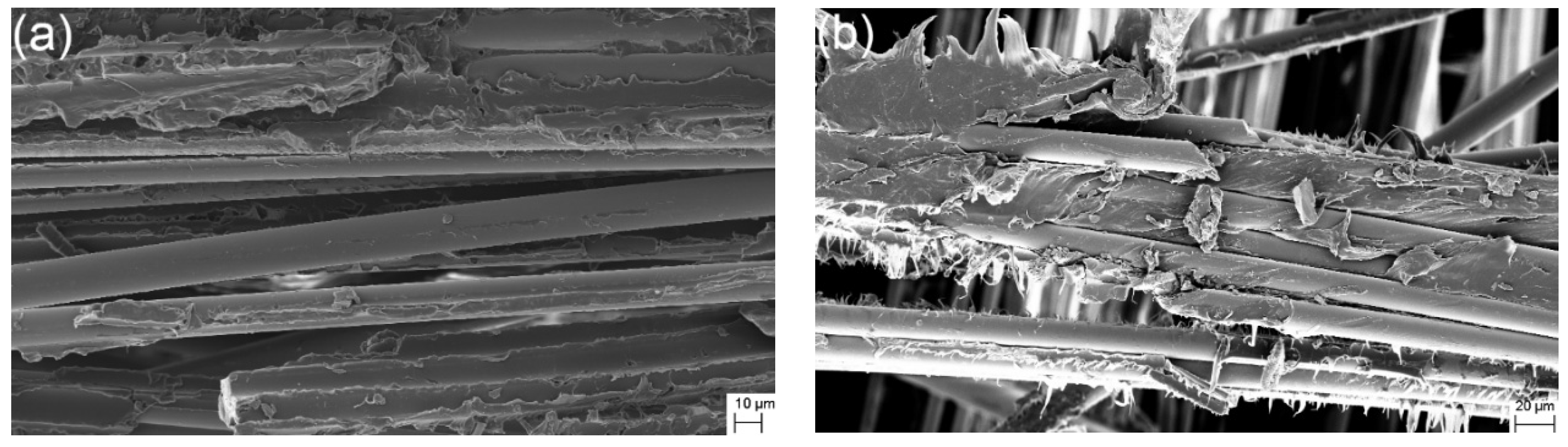 Polymers 10 00661 g004