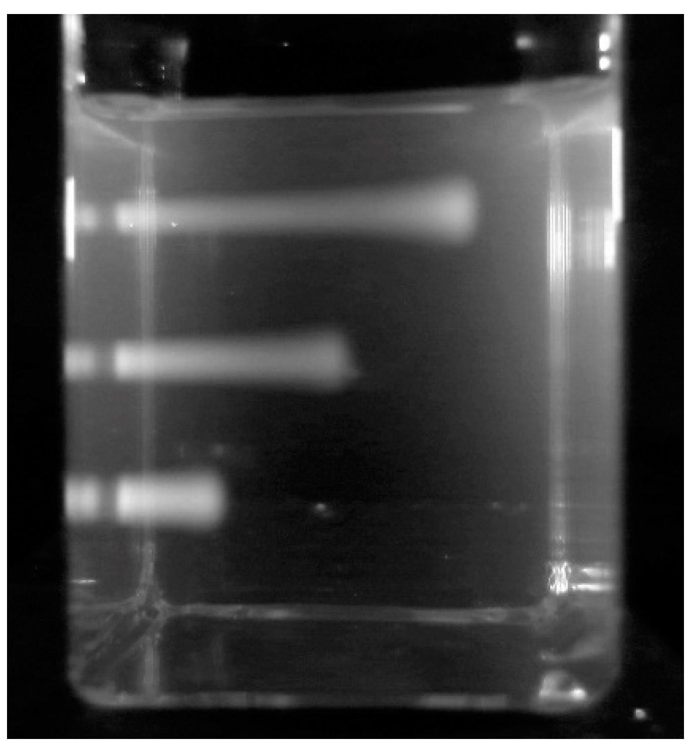 Polymers 10 00685 g013