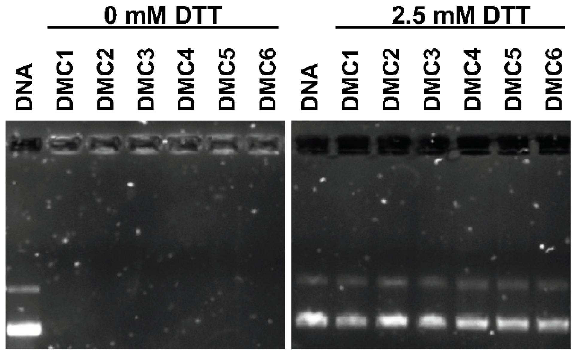 Polymers 10 00687 g003