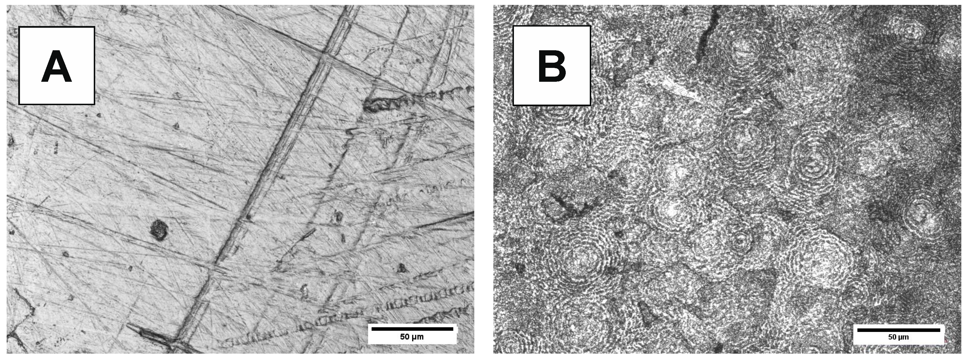 Polymers 10 00688 g012 Polymers 10 00688 g012