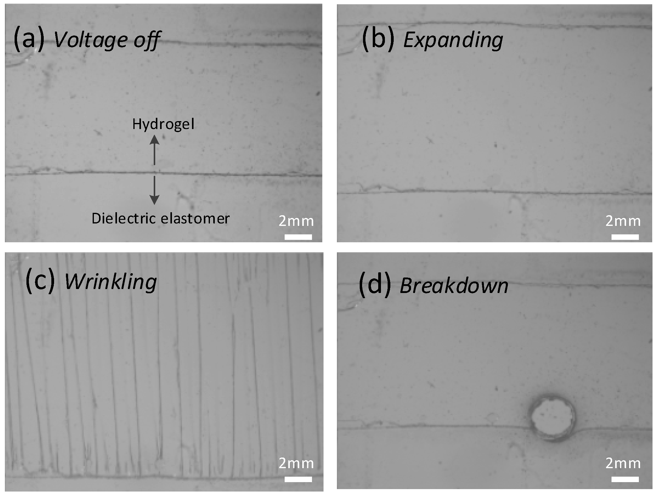 Polymers 10 00697 g004