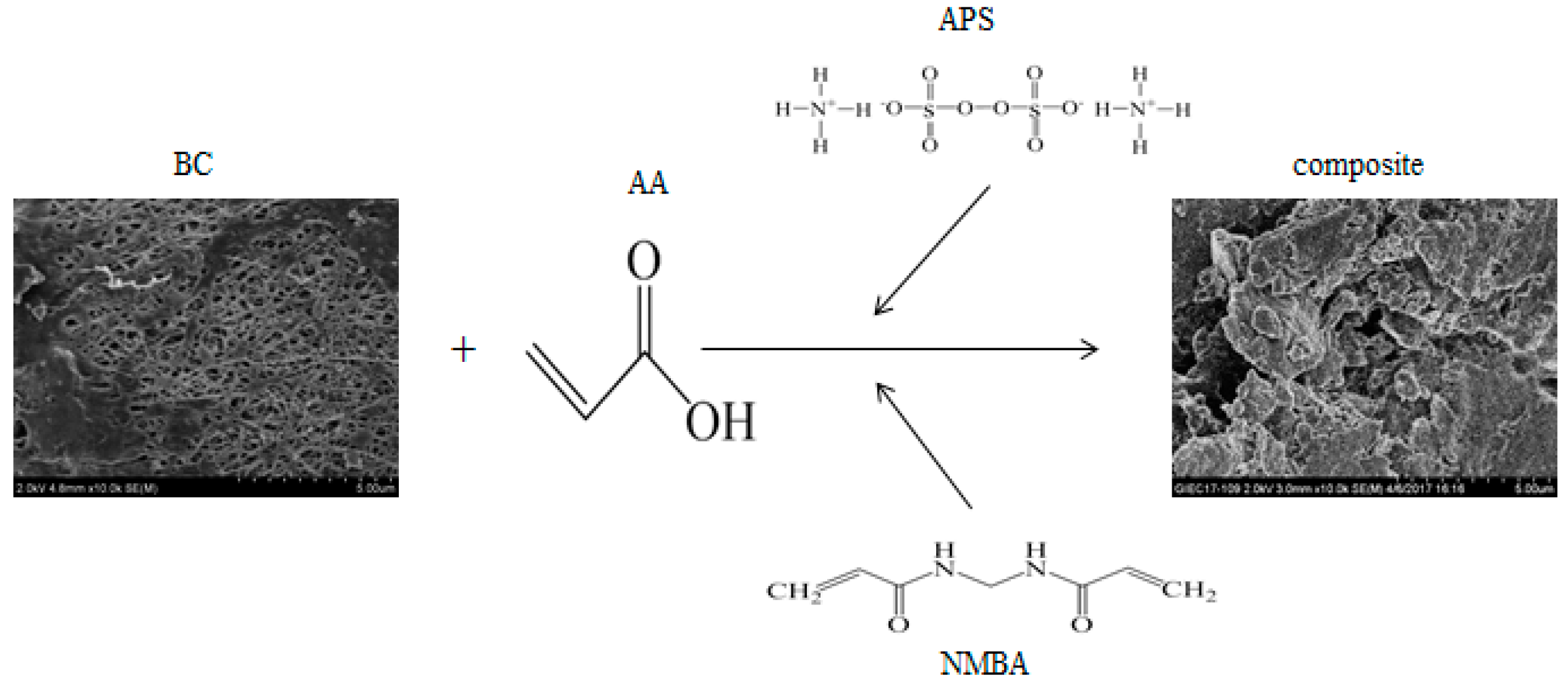 Polymers 10 00702 g001
