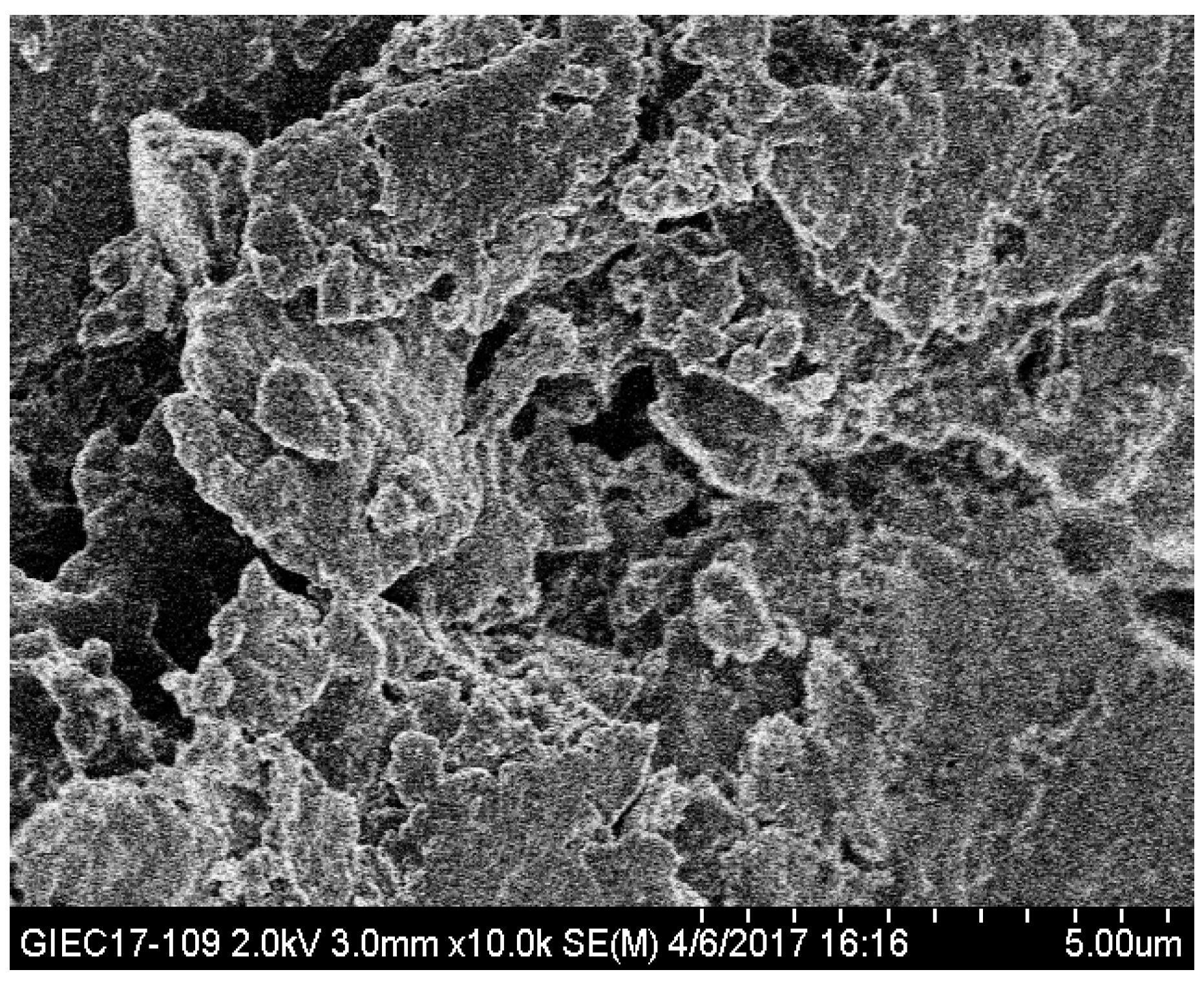 Polymers 10 00702 g010
