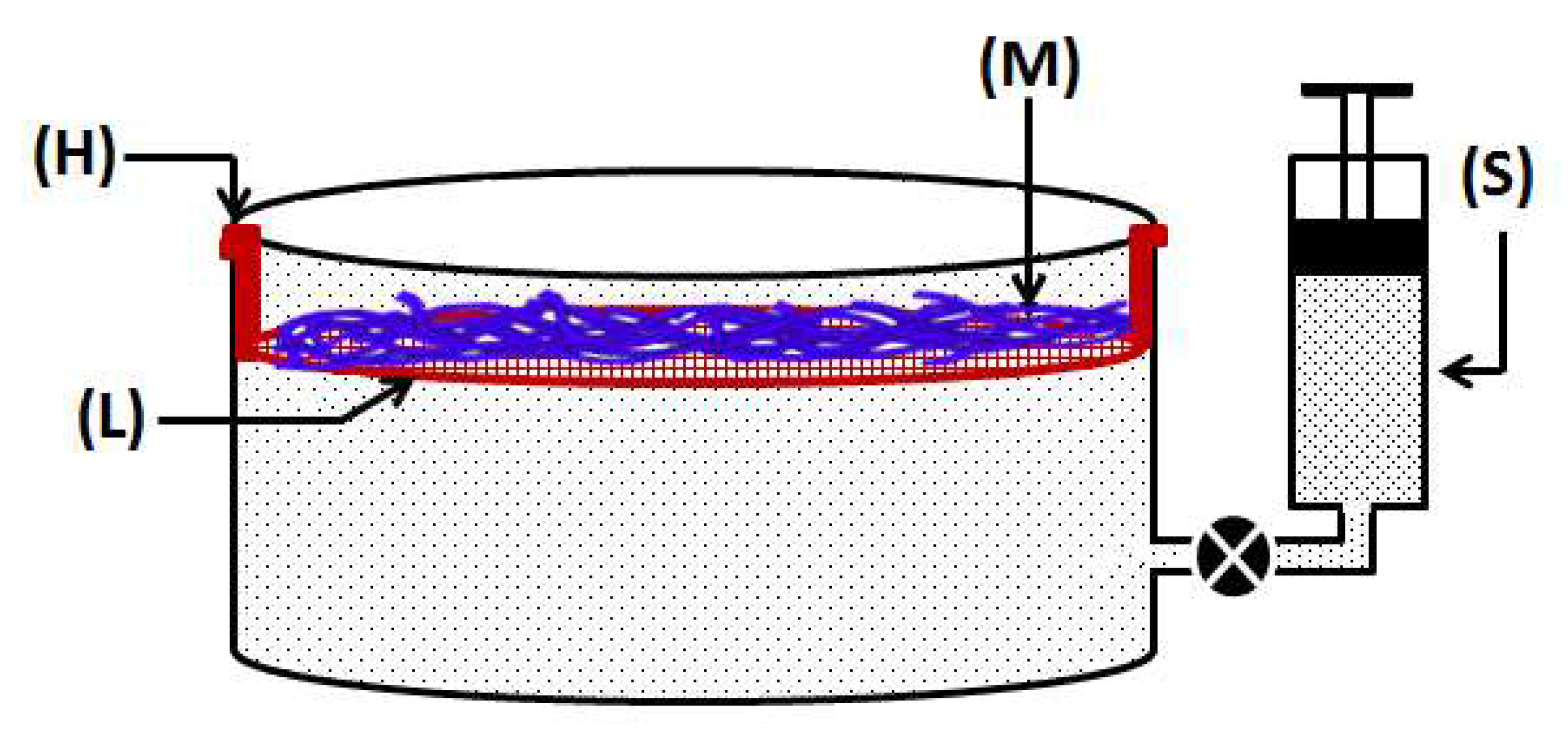 Polymers 10 00712 g001
