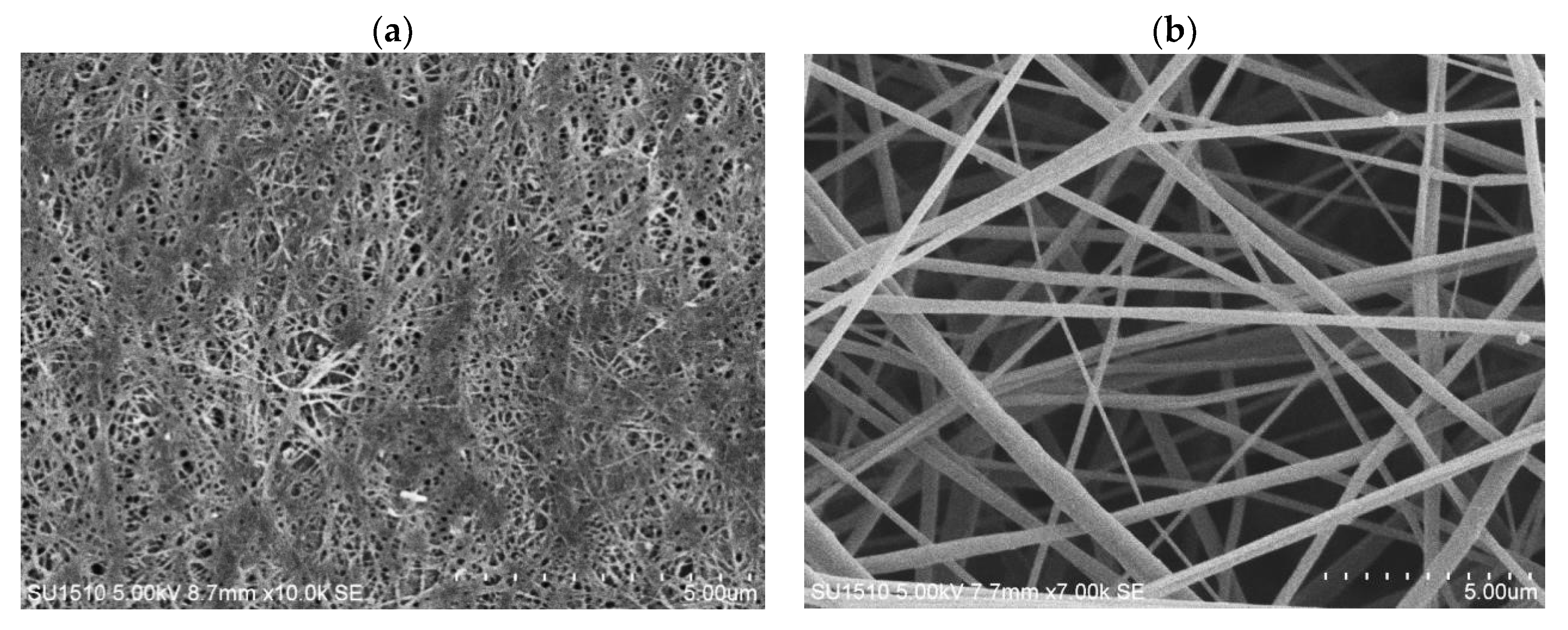 Polymers 10 00712 g002