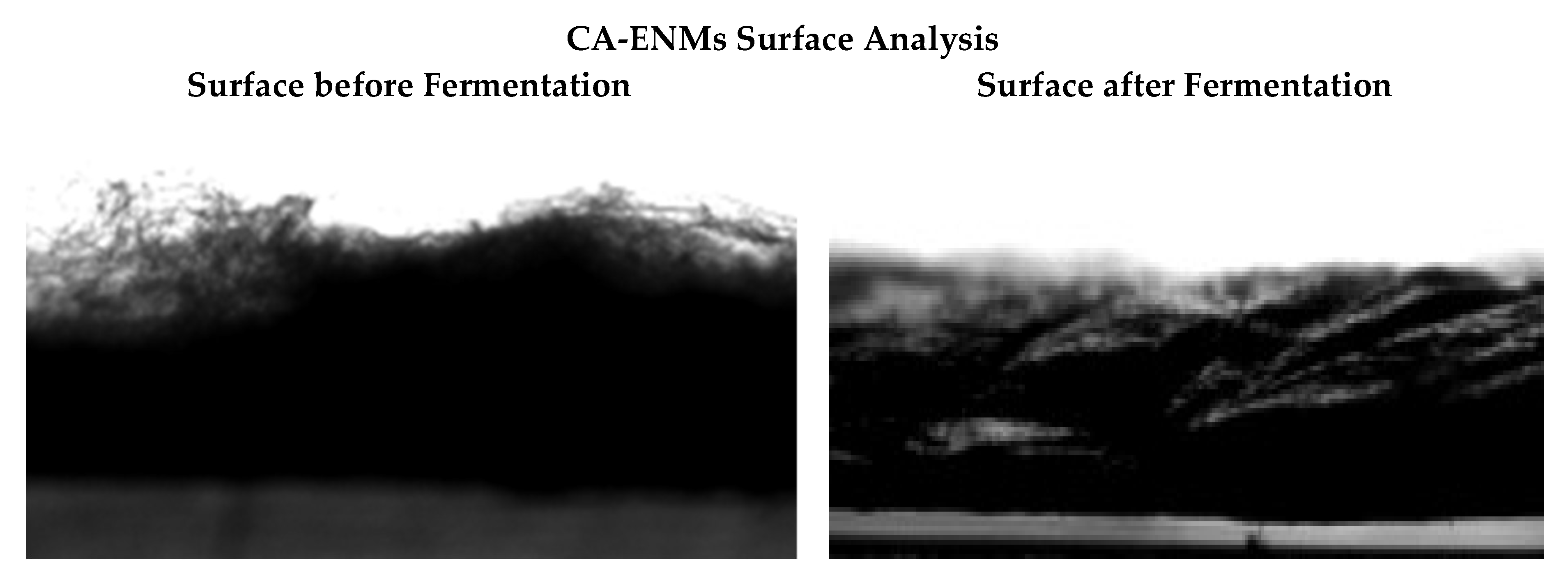 Polymers 10 00712 g004