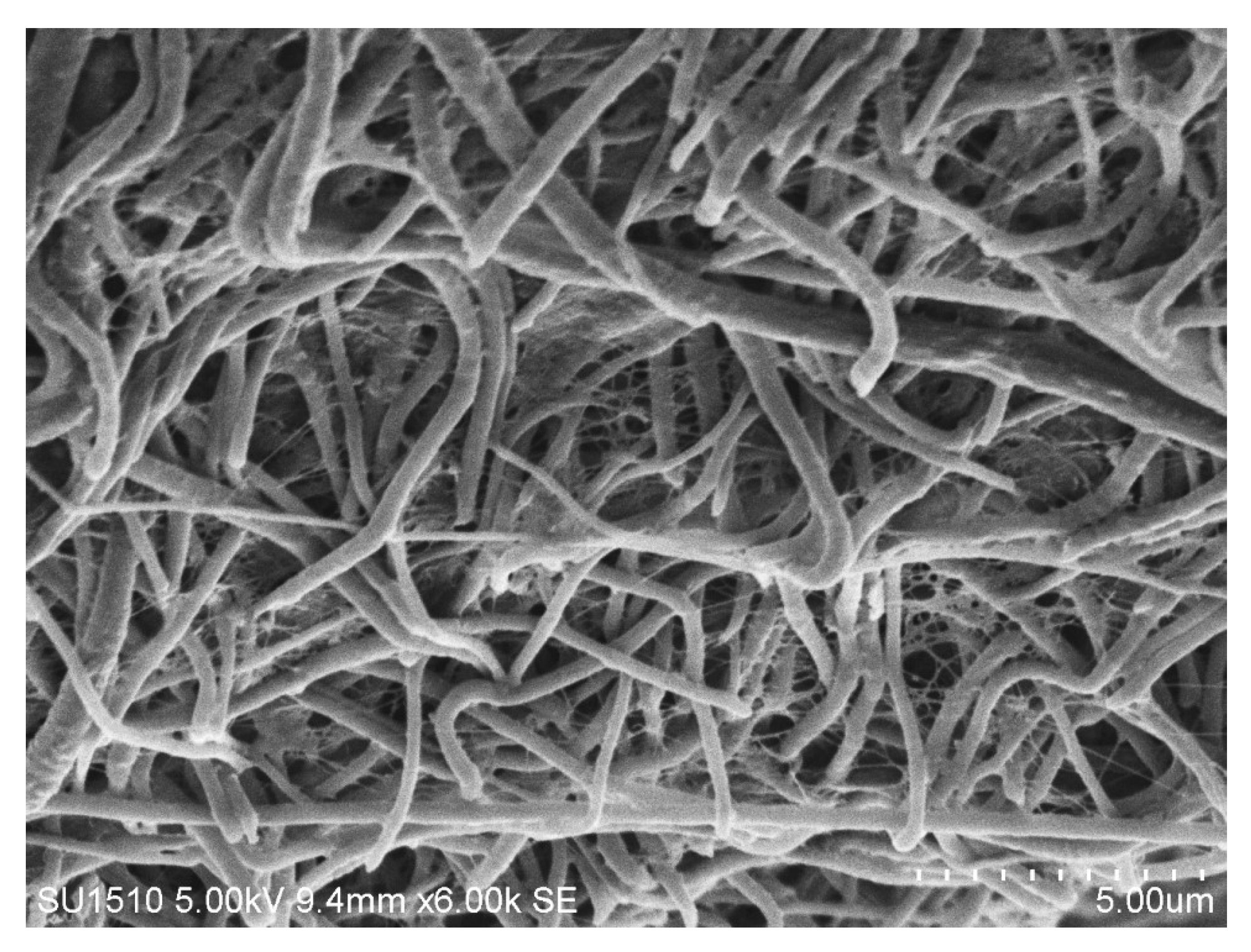 Polymers 10 00712 g005