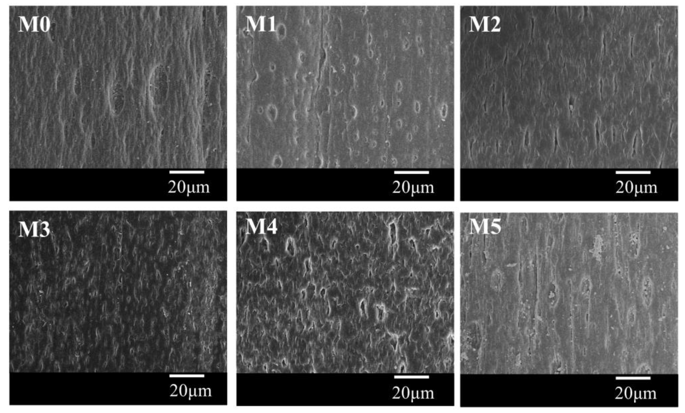 Polymers 10 00719 g010