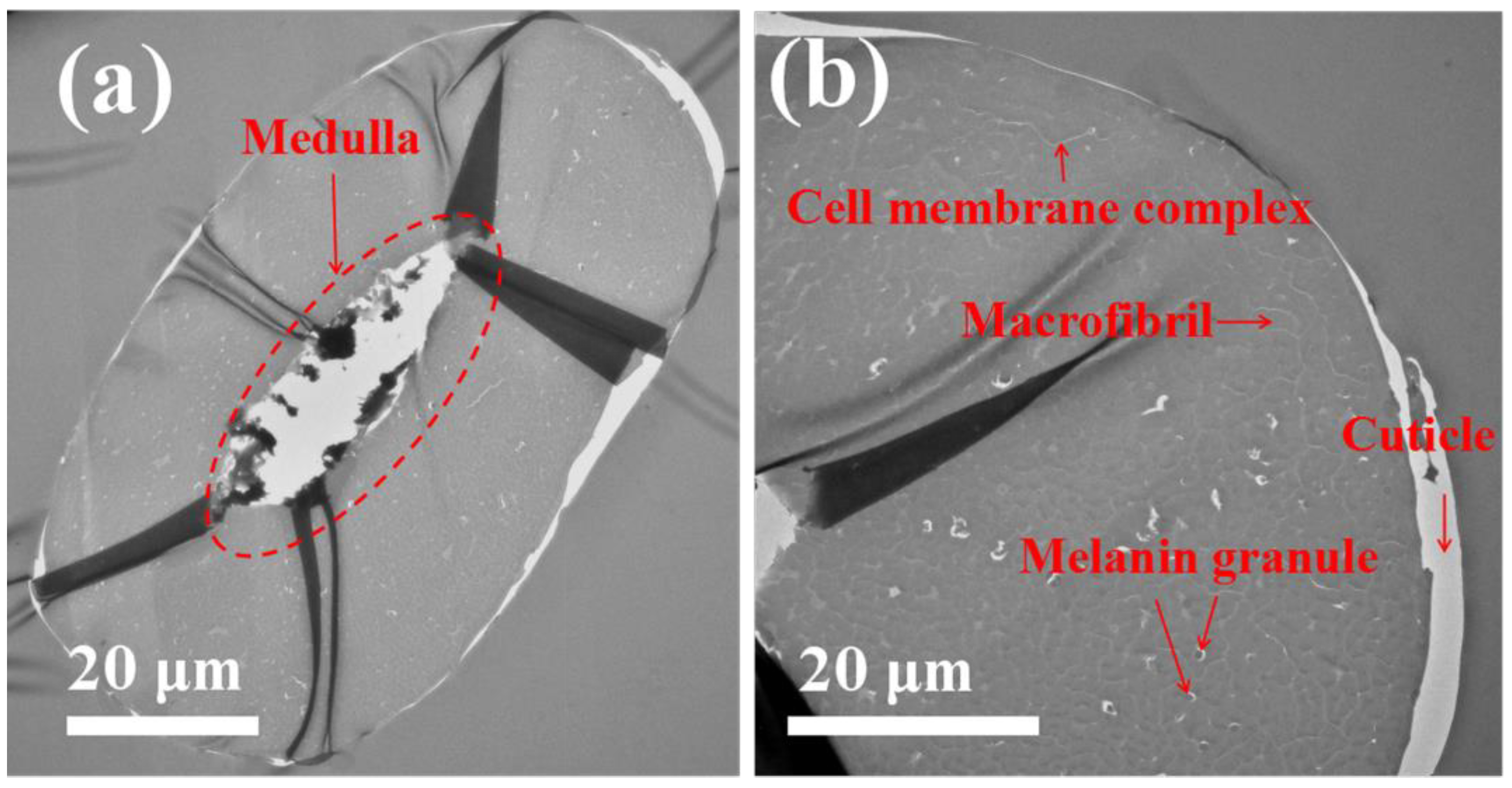 Polymers 10 00730 g005
