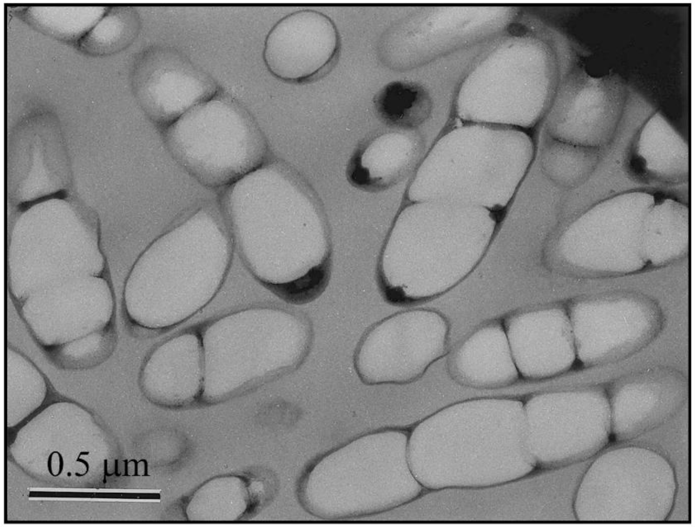 Polymers 10 00732 g001