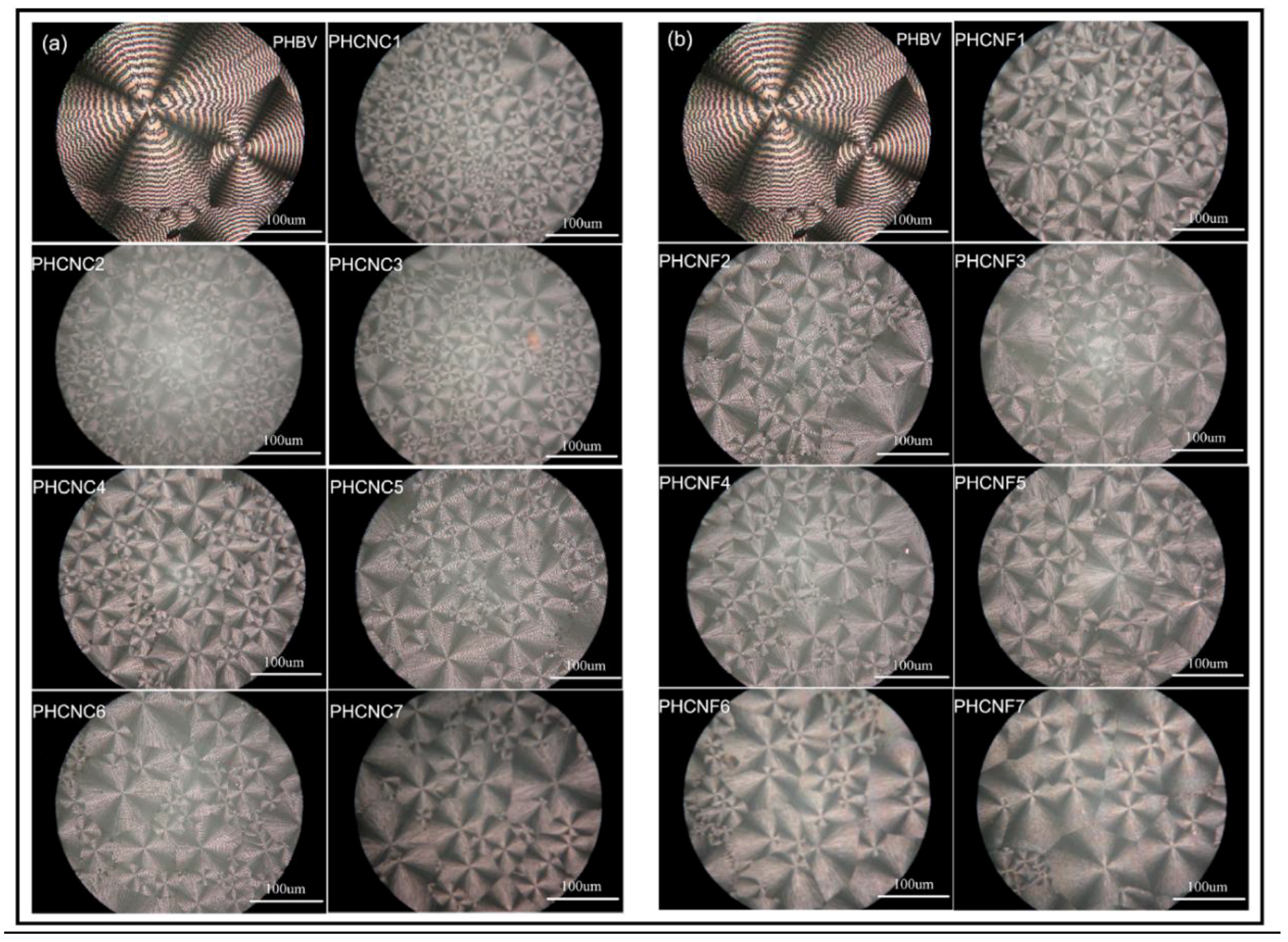 Polymers 10 00732 g003