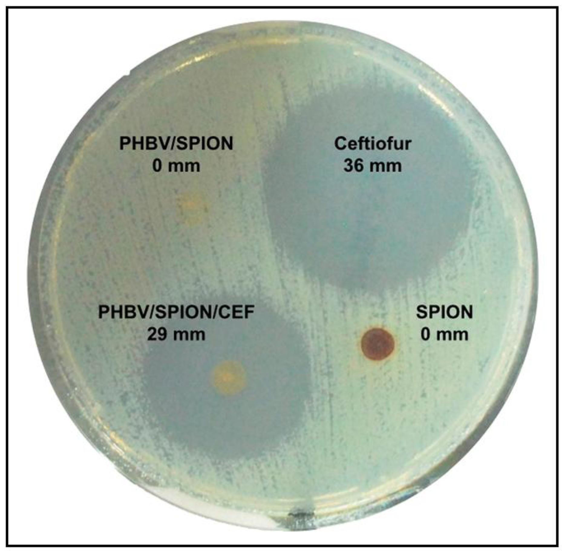 Polymers 10 00732 g005