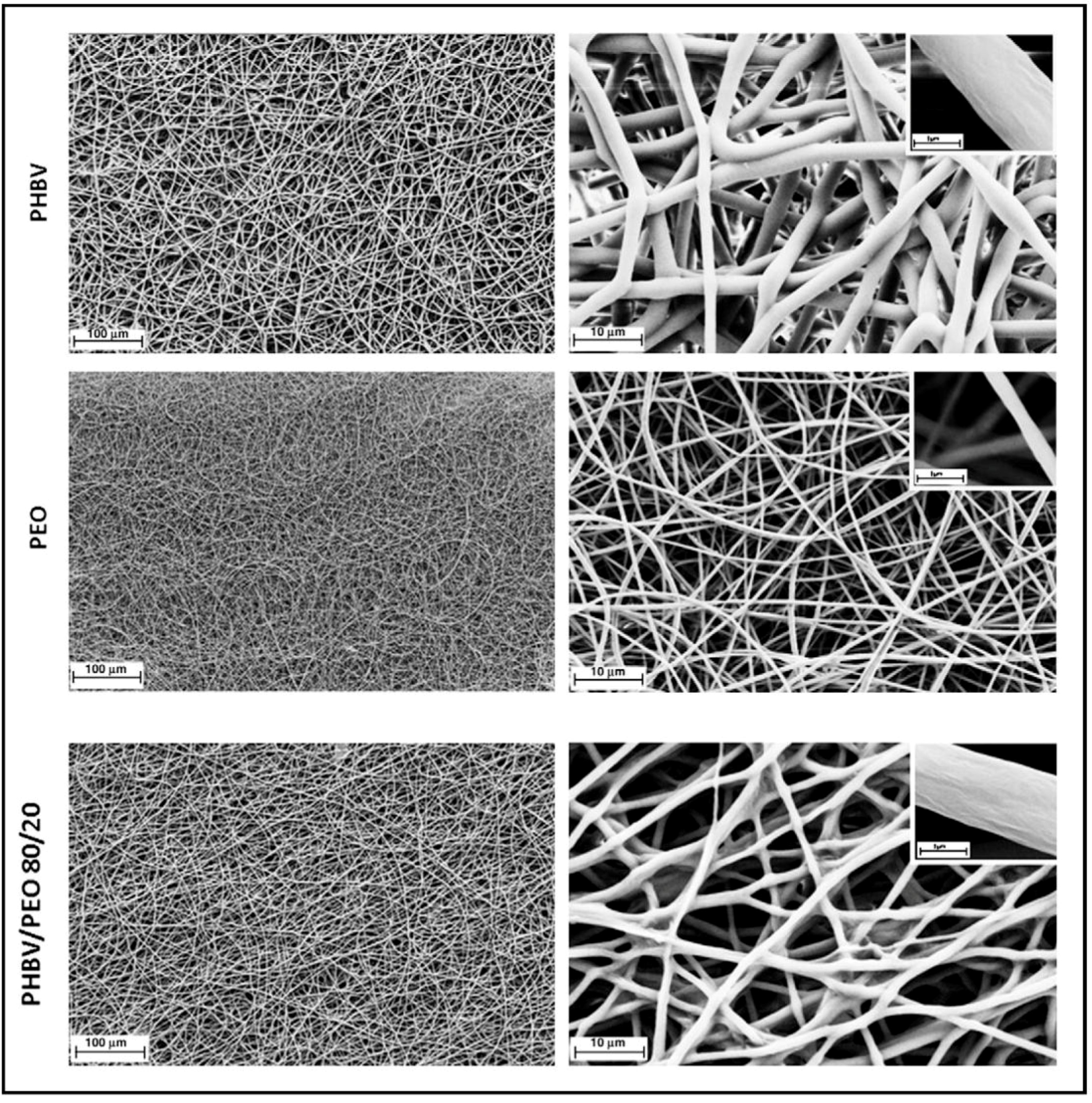 Polymers 10 00732 g006