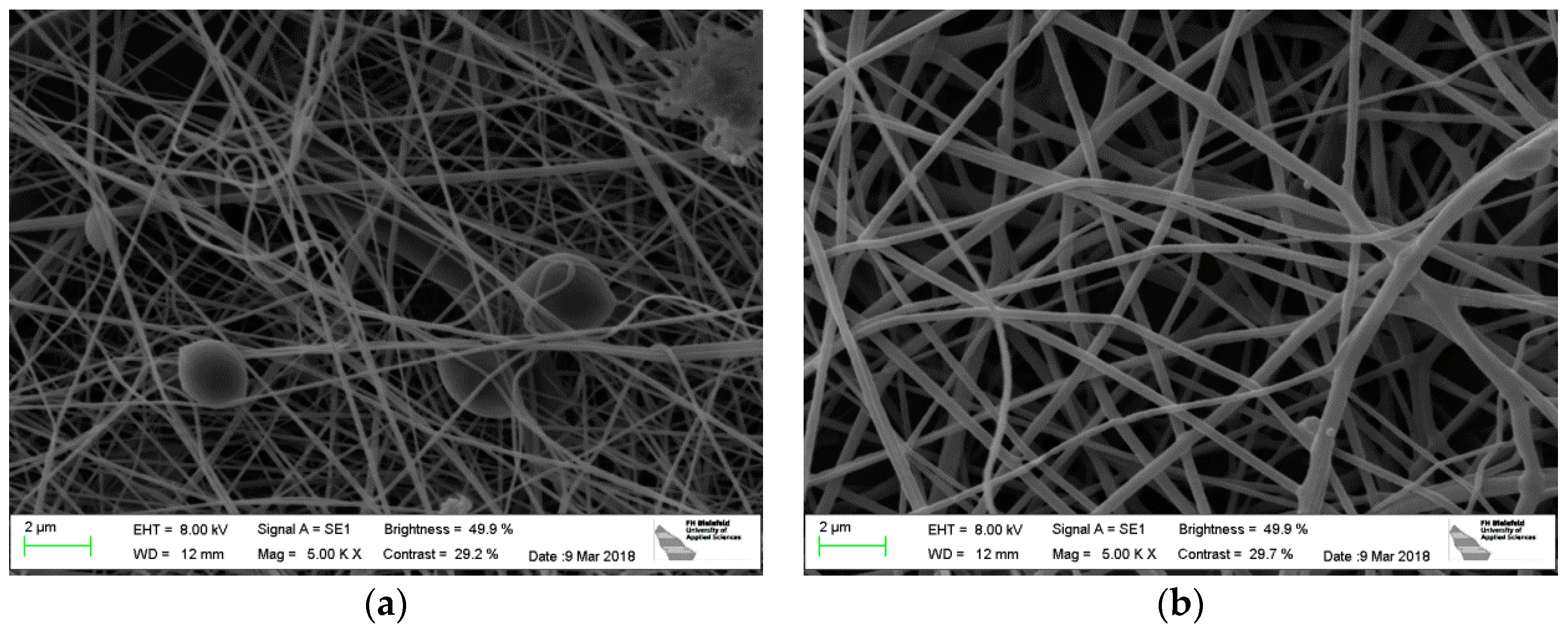Polymers 10 00735 g001 Polymers 10 00735 g001