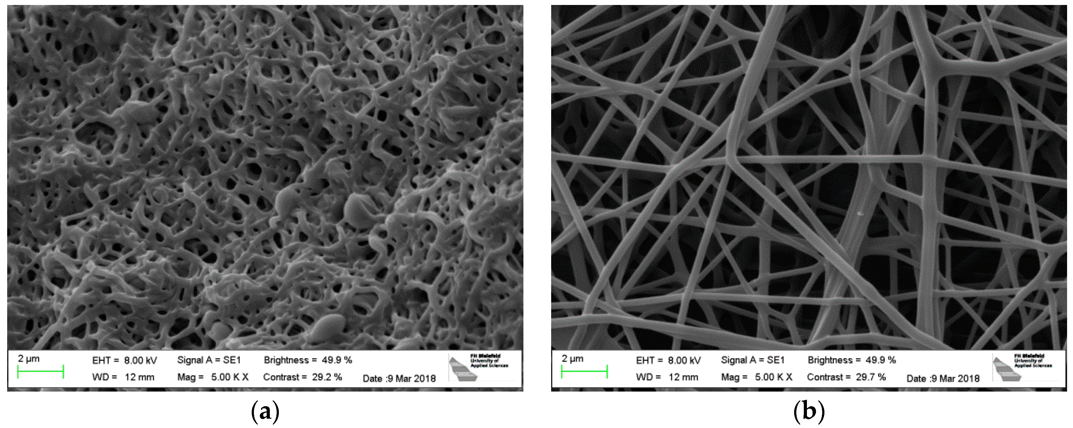 Polymers 10 00735 g002 Polymers 10 00735 g002