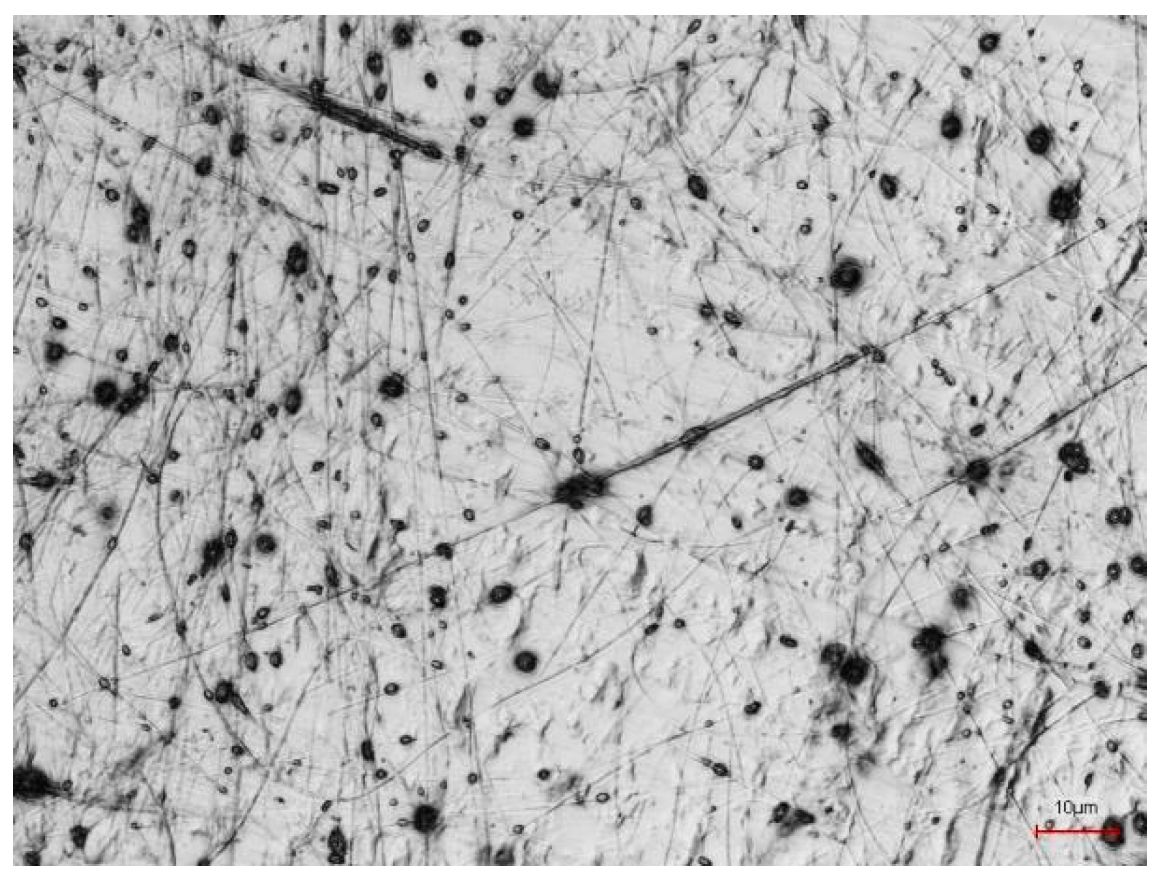 Polymers 10 00735 g005 Polymers 10 00735 g005