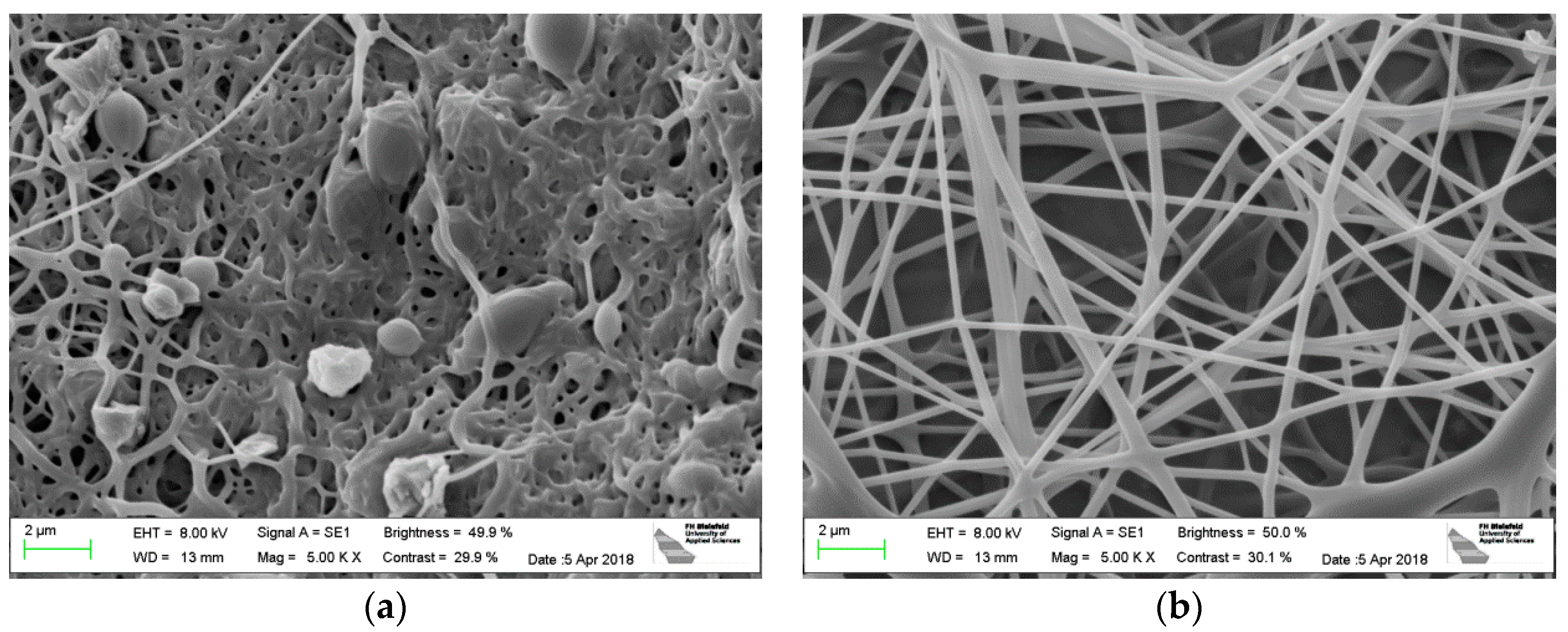 Polymers 10 00735 g006 Polymers 10 00735 g006