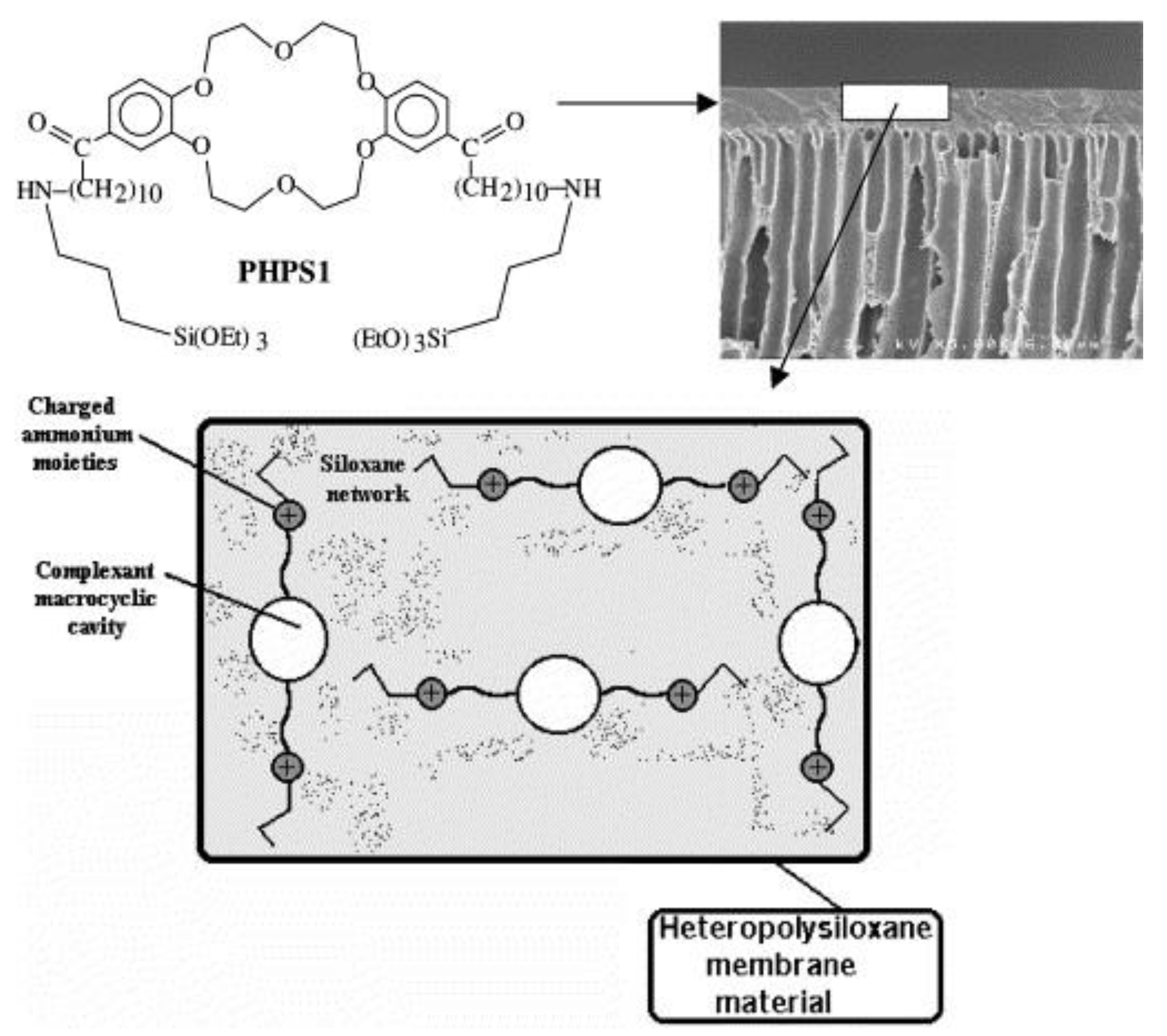 Polysiloxanes in Theranostics and Drug Delivery: A Review | MDPI