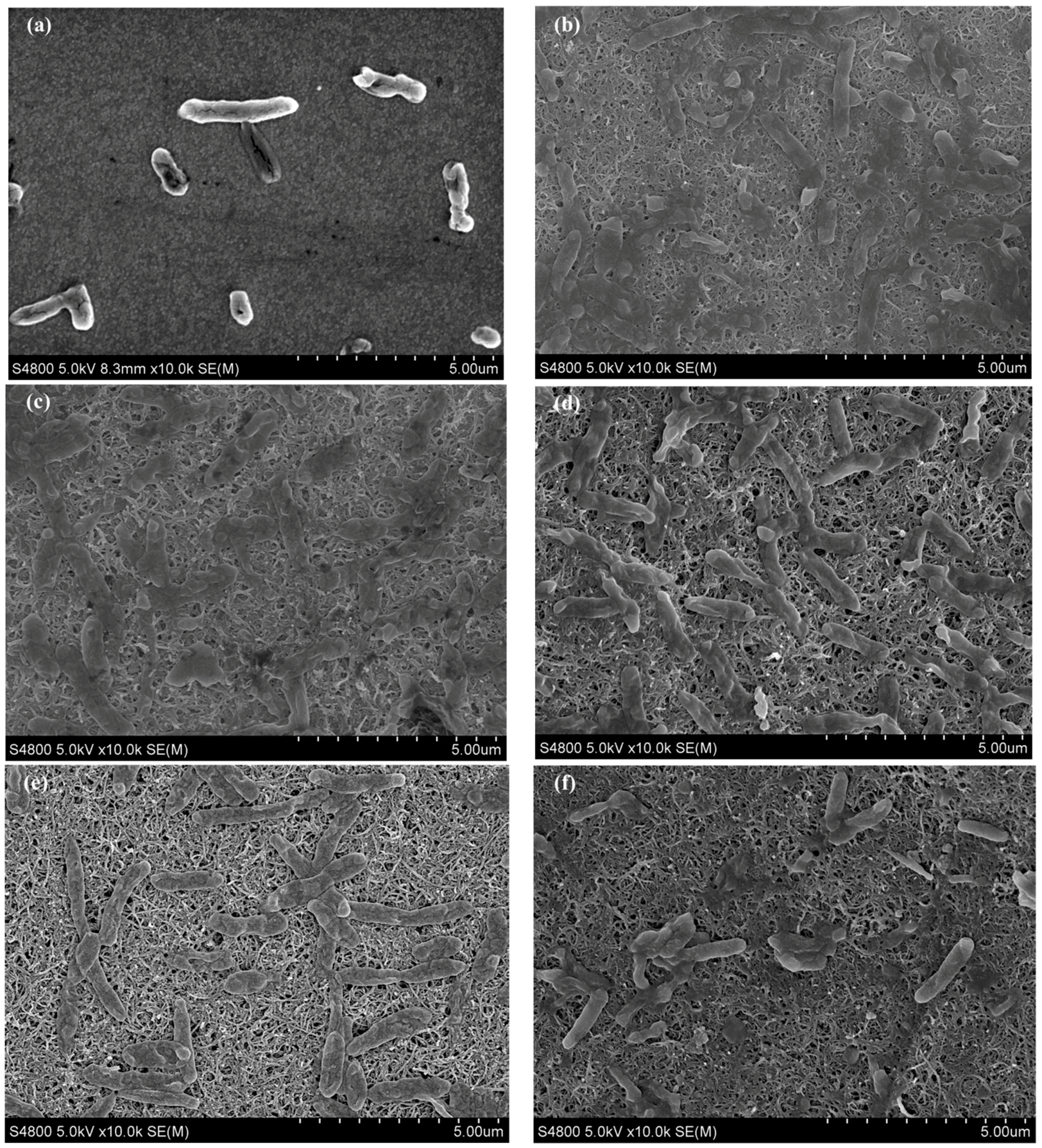 Polymers 10 00759 g004 Polymers 10 00759 g004