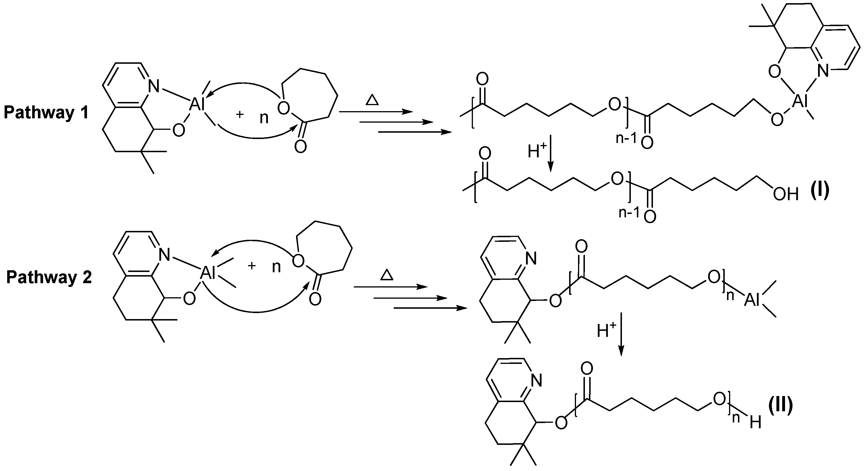 Polymers 10 00764 sch002