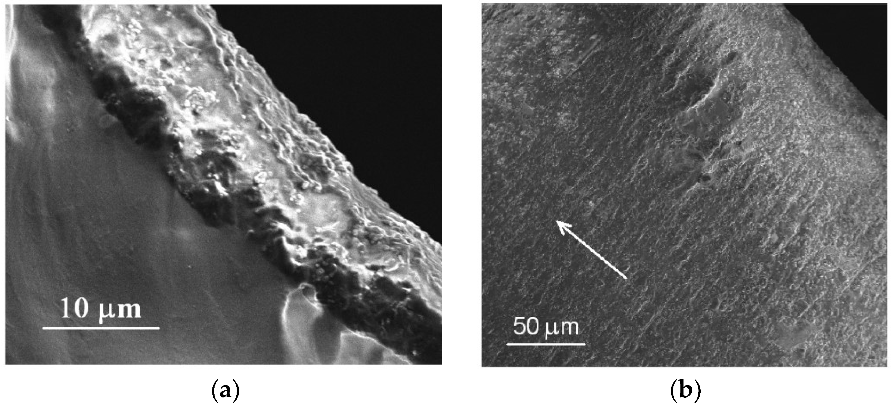 Polymers 10 00773 g009