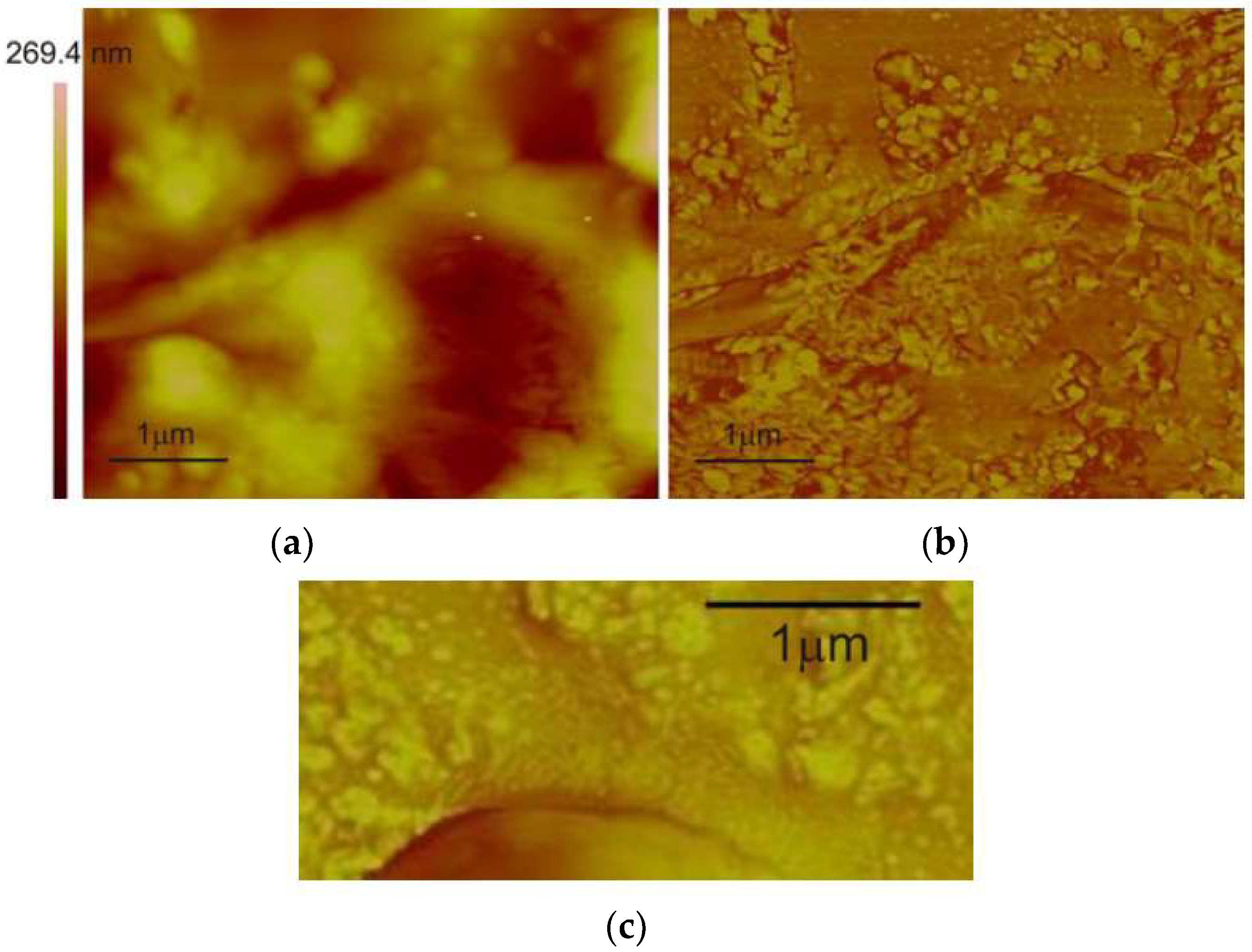 Polymers 10 00773 g010
