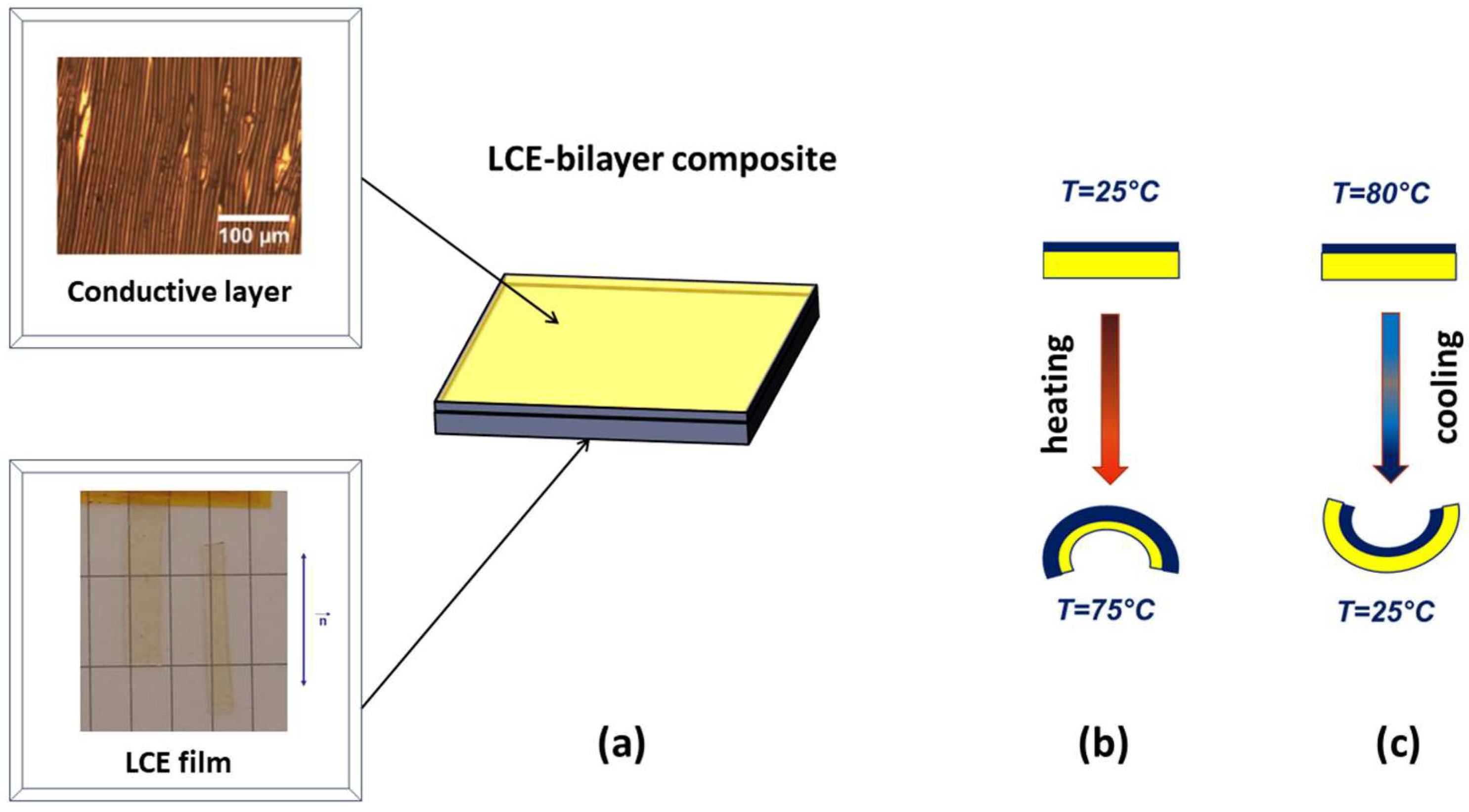 Polymers 10 00773 g015