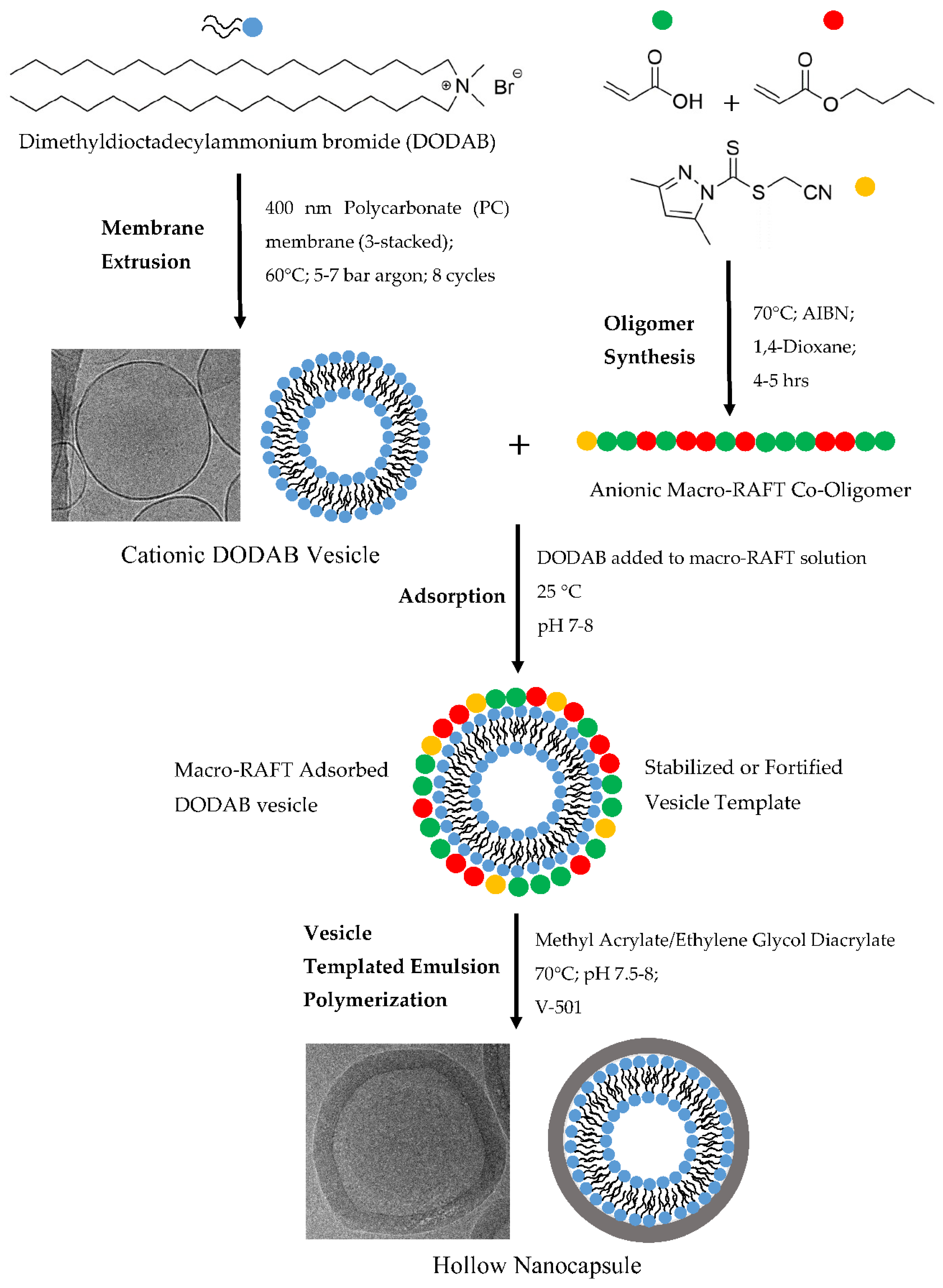 Polymers 10 00774 g001