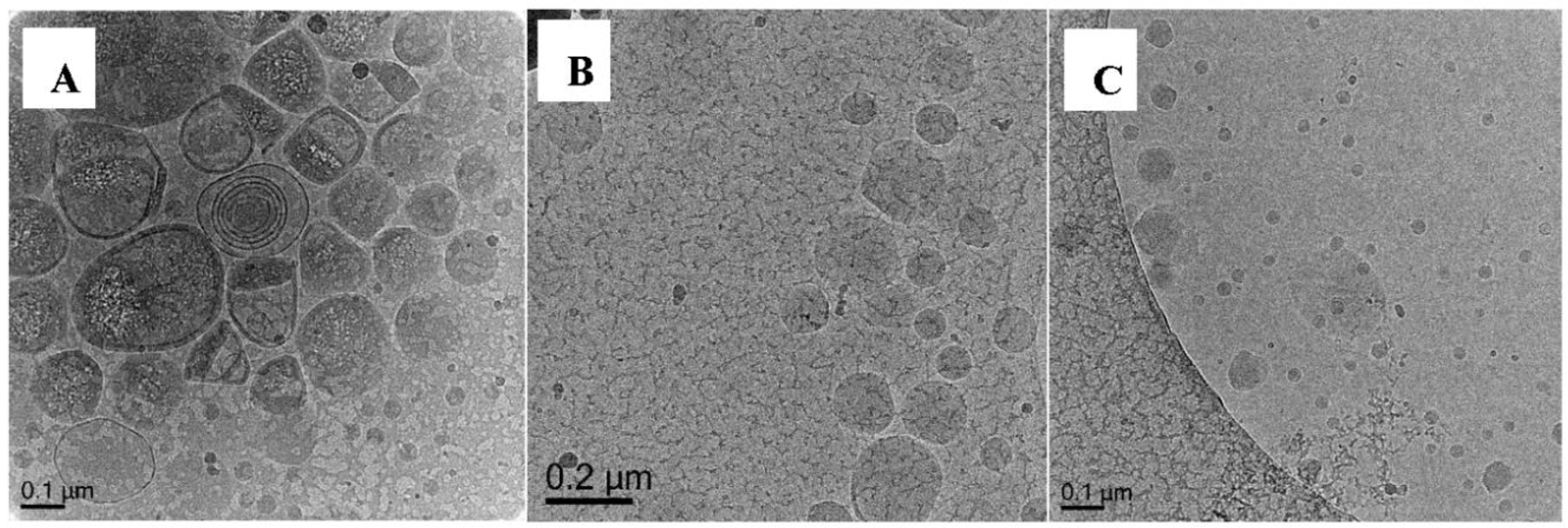 Polymers 10 00774 g014