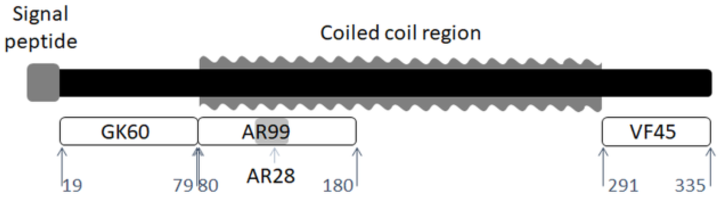 Polymers 10 00776 g001