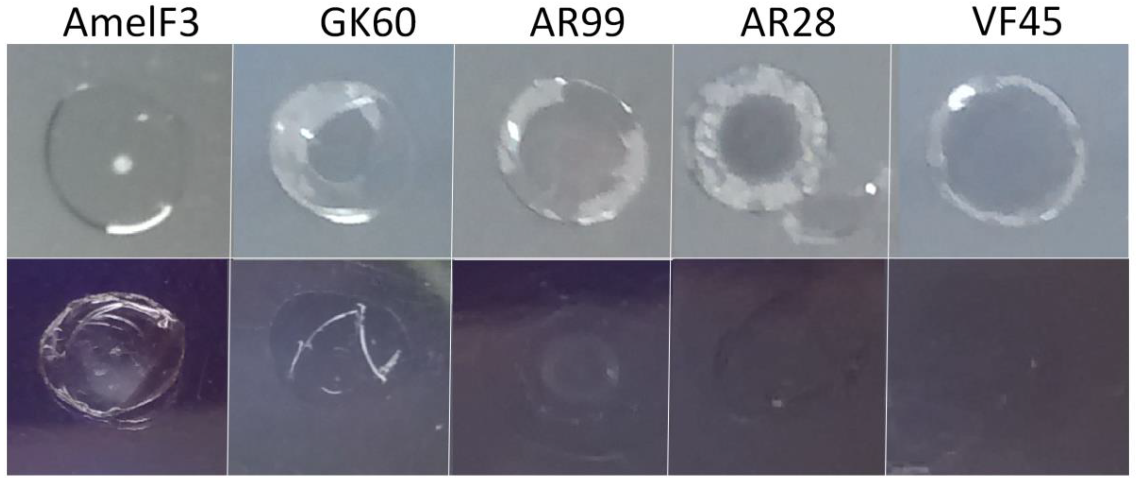 Polymers 10 00776 g009