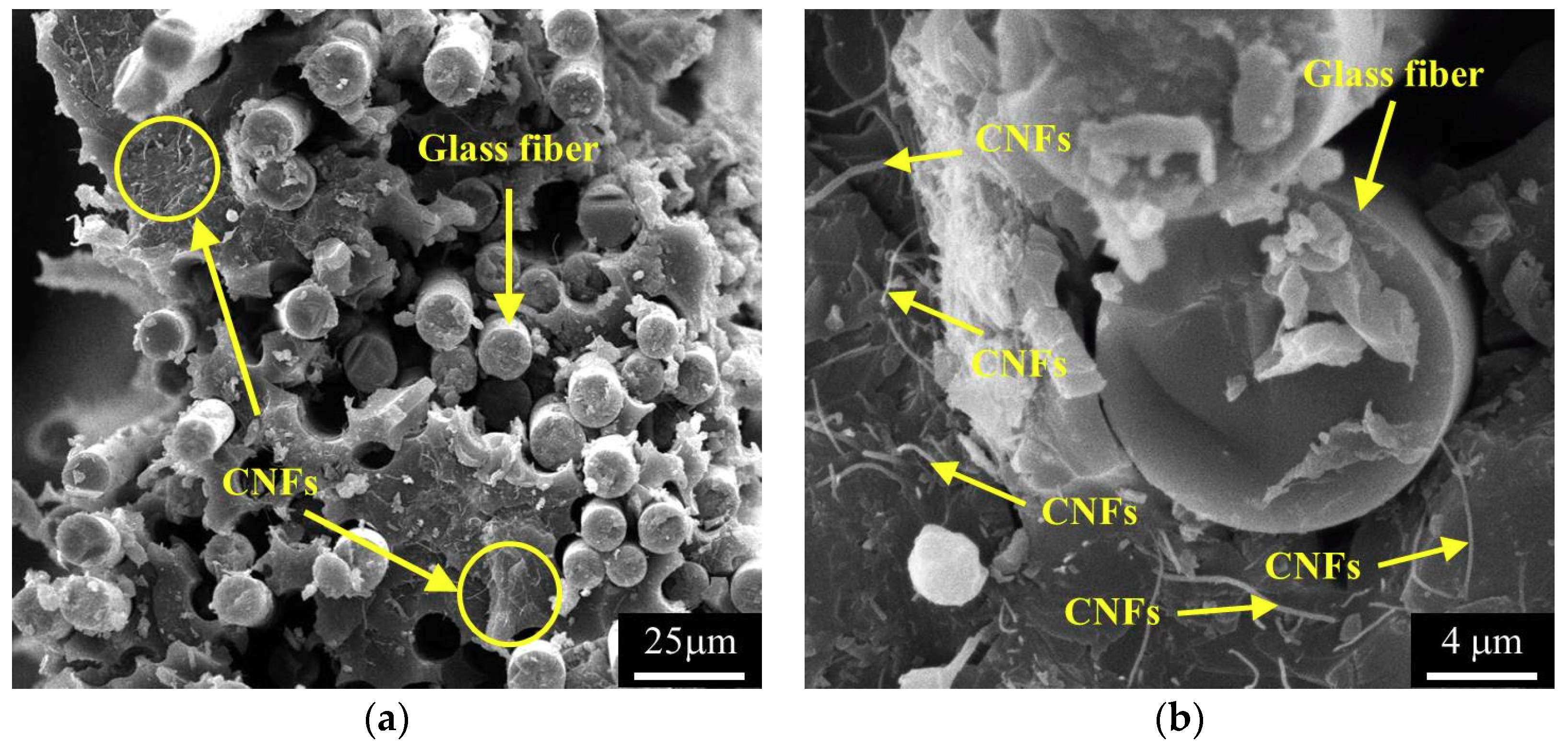 Polymers 10 00777 g006