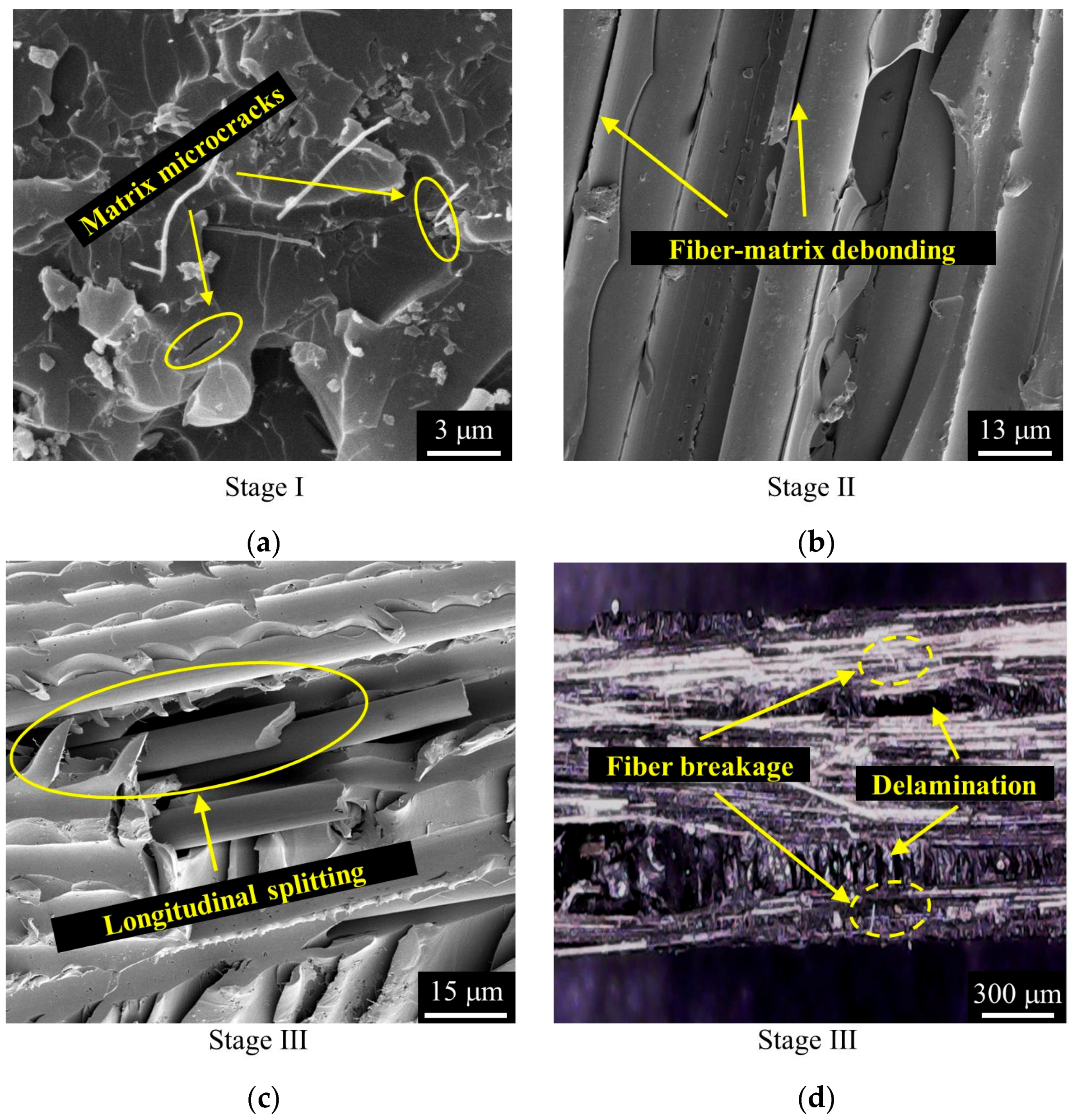 Polymers 10 00777 g008