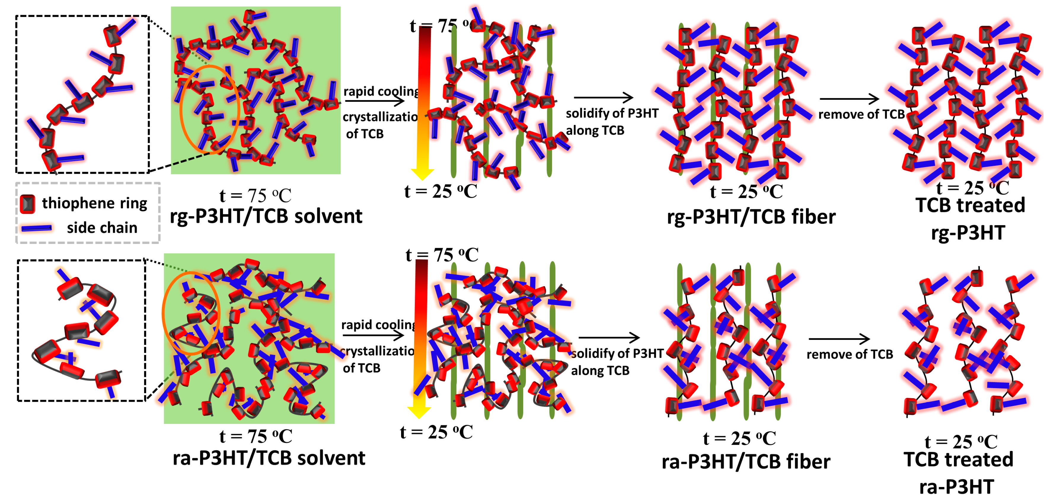 Polymers 10 00815 g002