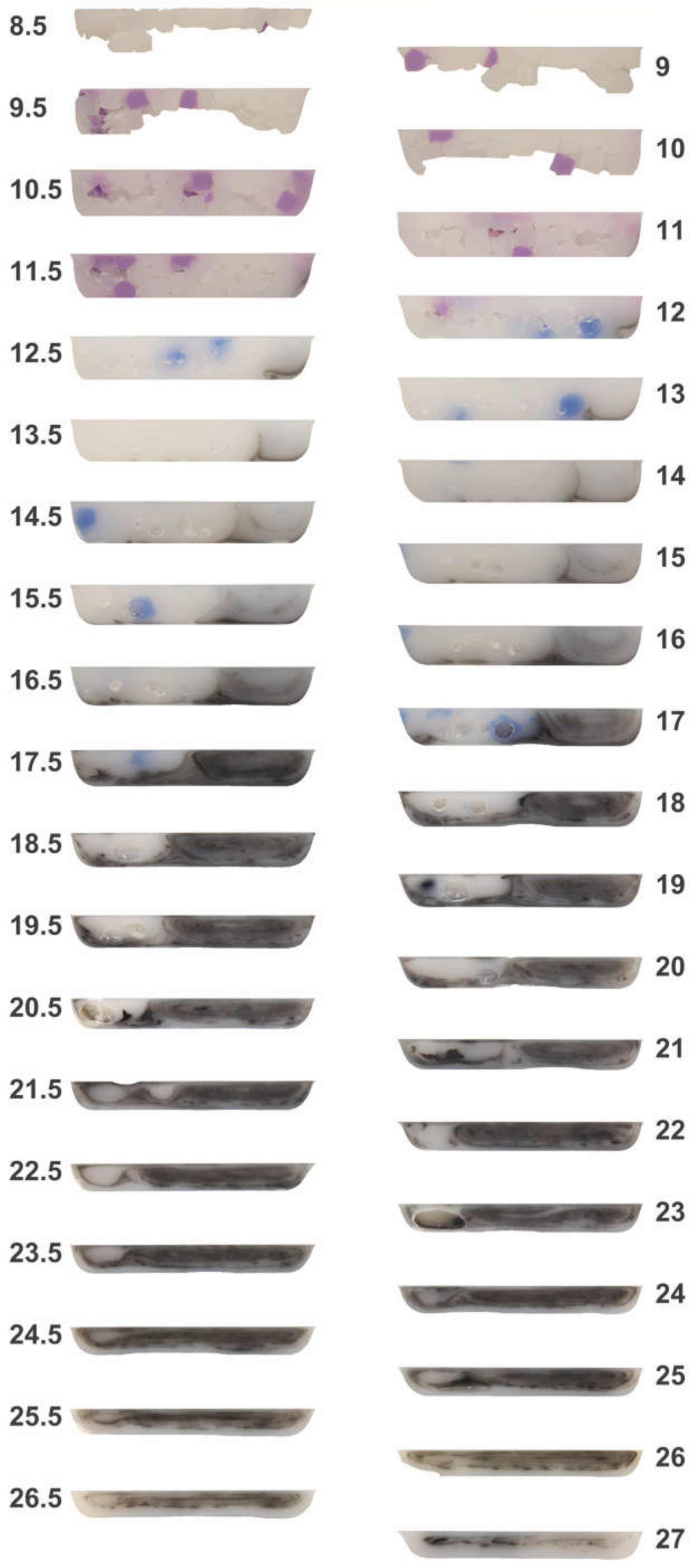 Polymers 10 00823 g005