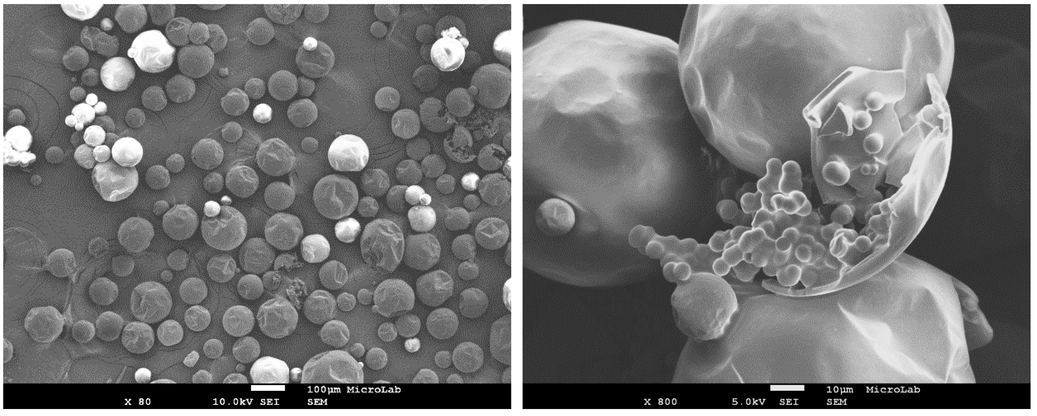 Polymers 10 00825 g003