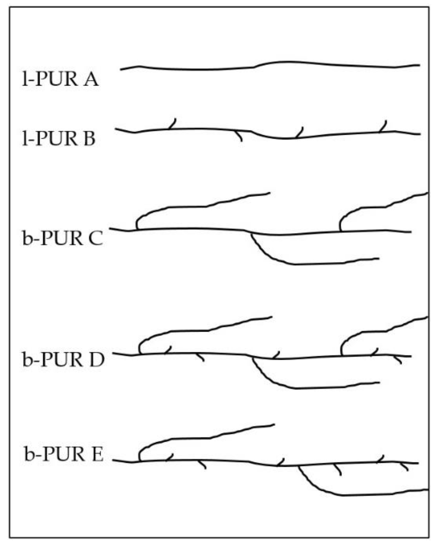 Polymers 10 00826 g002