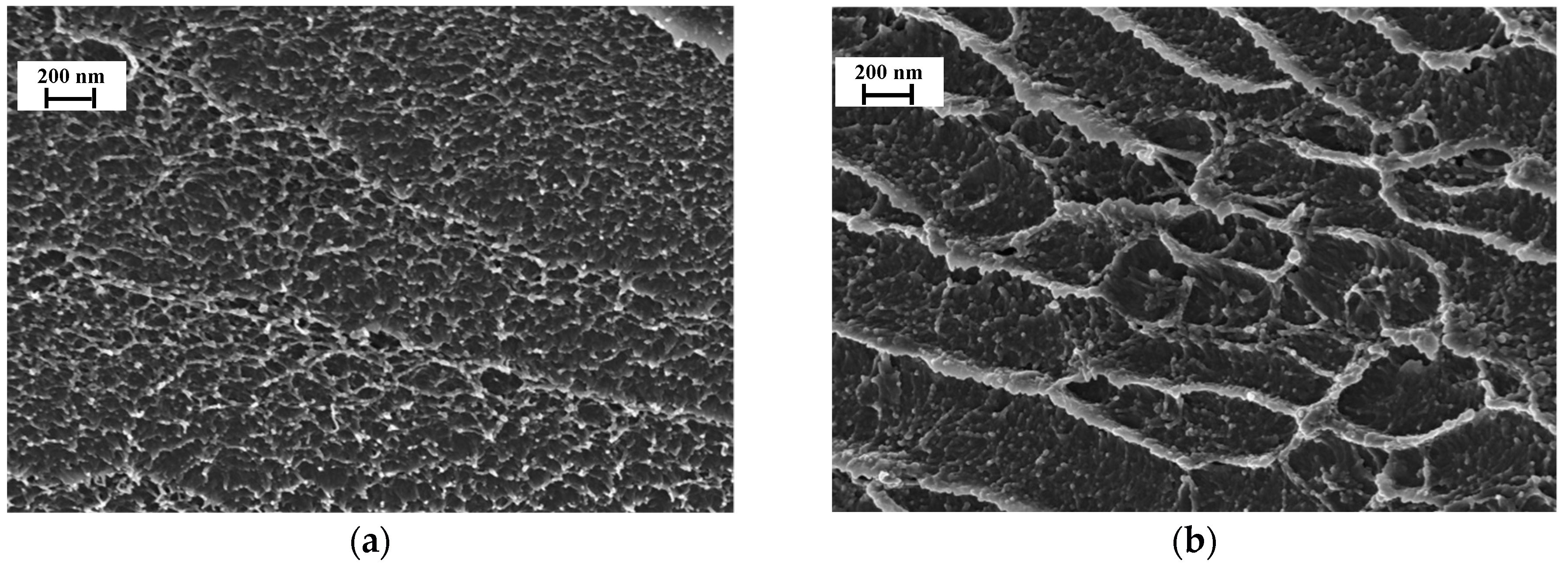 Polymers 10 00828 g003 Polymers 10 00828 g003