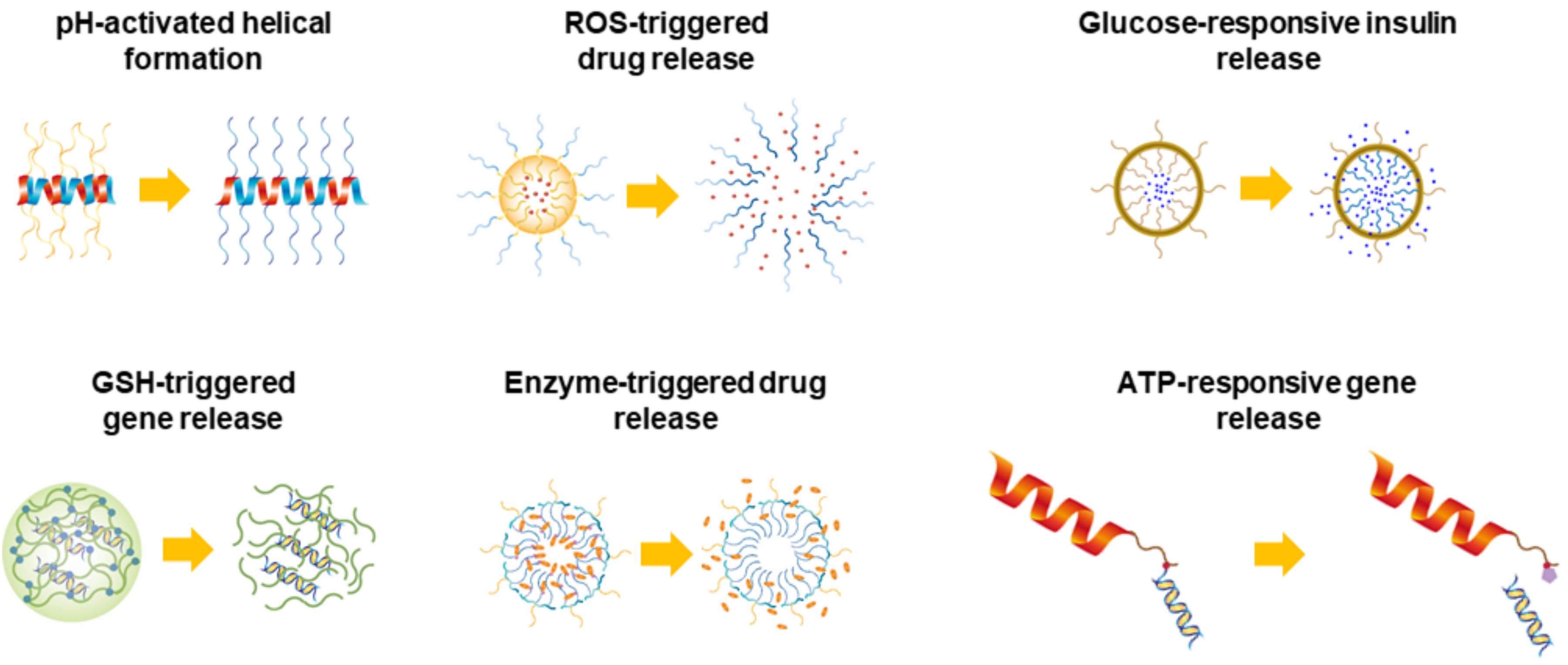 Polymers 10 00830 g001