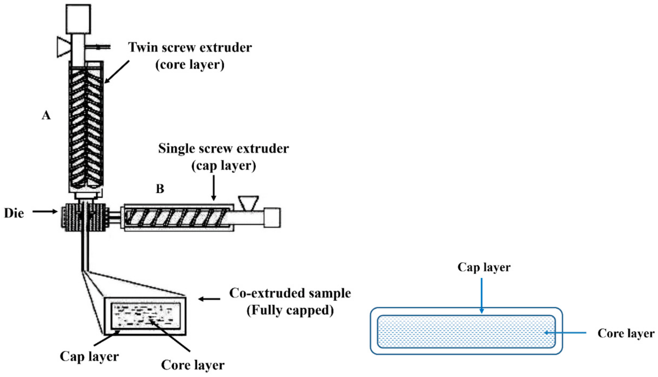 Polymers 10 00831 g001