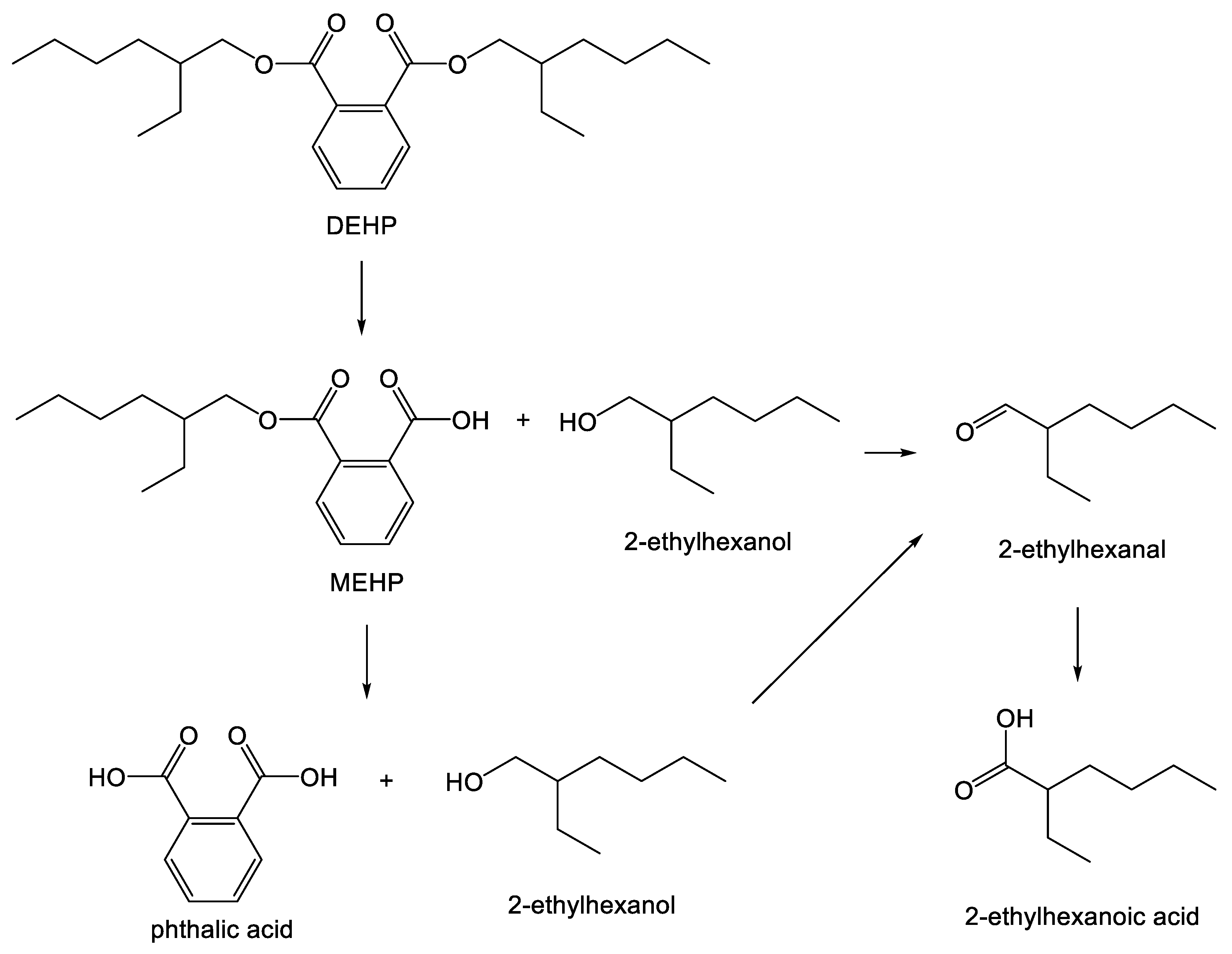 Polymers 10 00834 g004